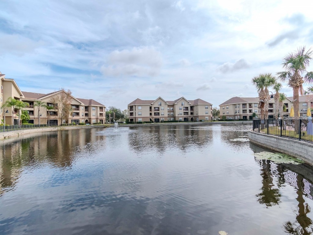 1429 Villa Capri Circle #306 Odessa FL 33556 TB8344676 image42