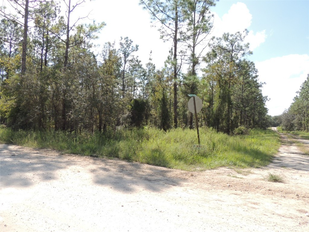 14290 SE 21st Place Morriston FL 32668 OM664944 image1