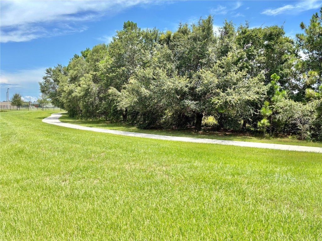 14291 Swanley Street Orlando FL 32832 O6325200 image45