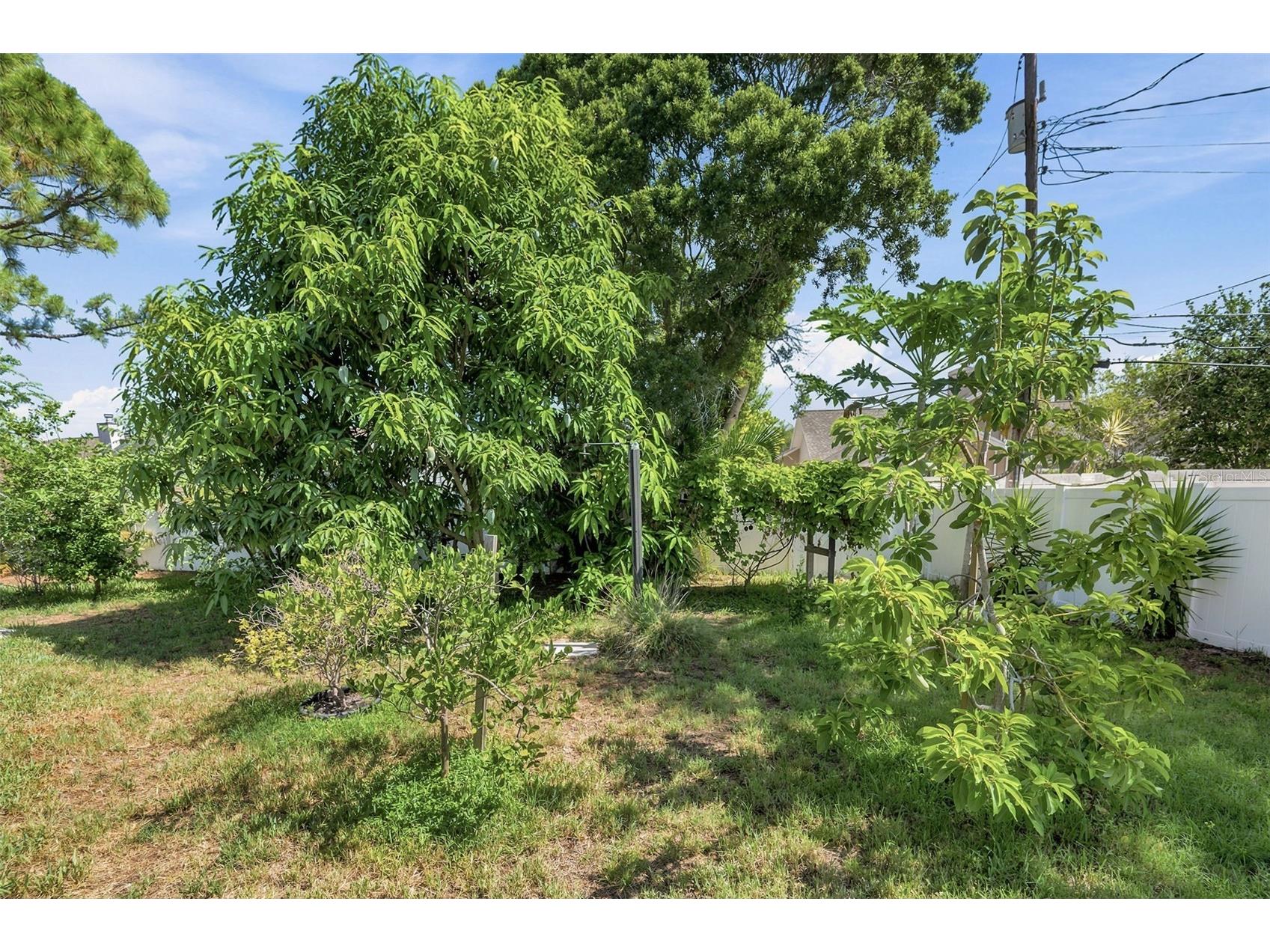 14297 Geneva Drive Largo FL 33774 TB8524941 image50