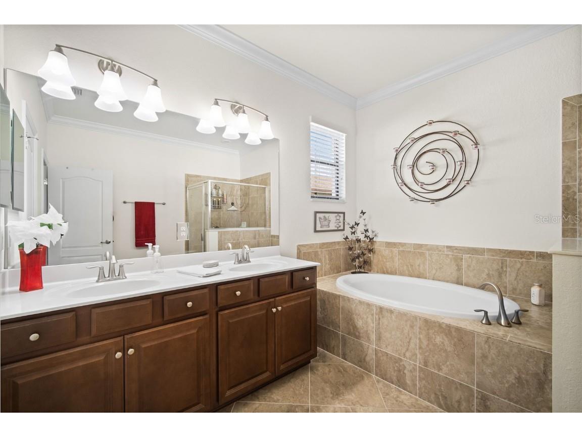 14298 Mindello Drive Fort Myers FL 33905 A4671131 image18