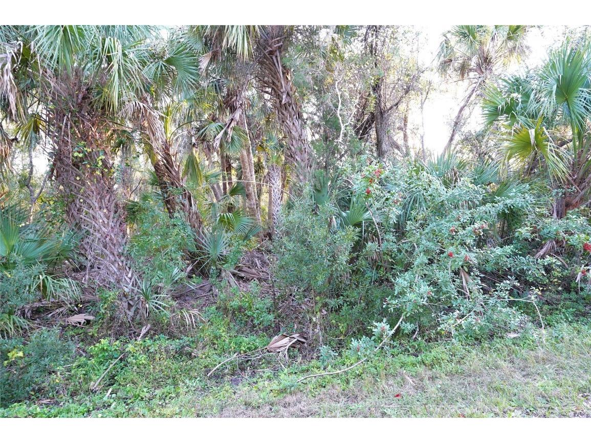 14299 Cannell Lane Port Charlotte FL 33953 C7503190 image2