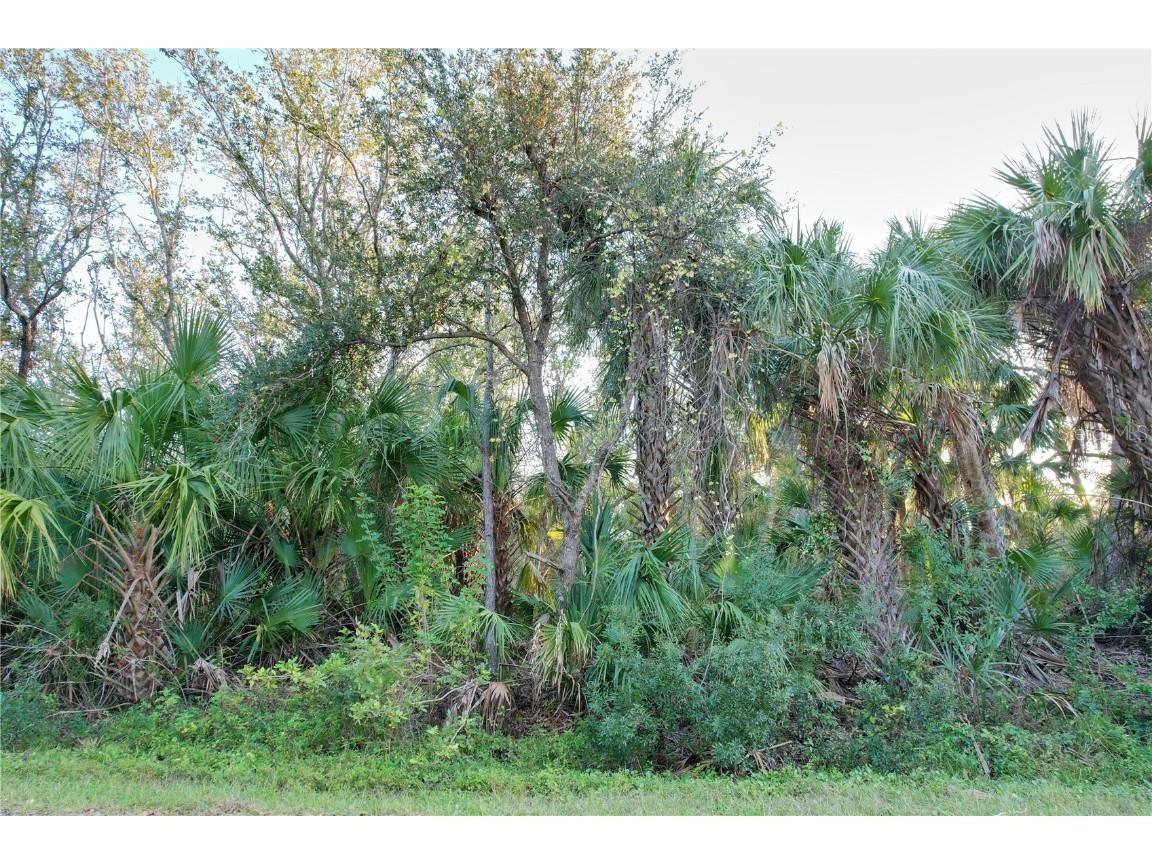 14299 Cannell Lane Port Charlotte FL 33953 C7503190 image3