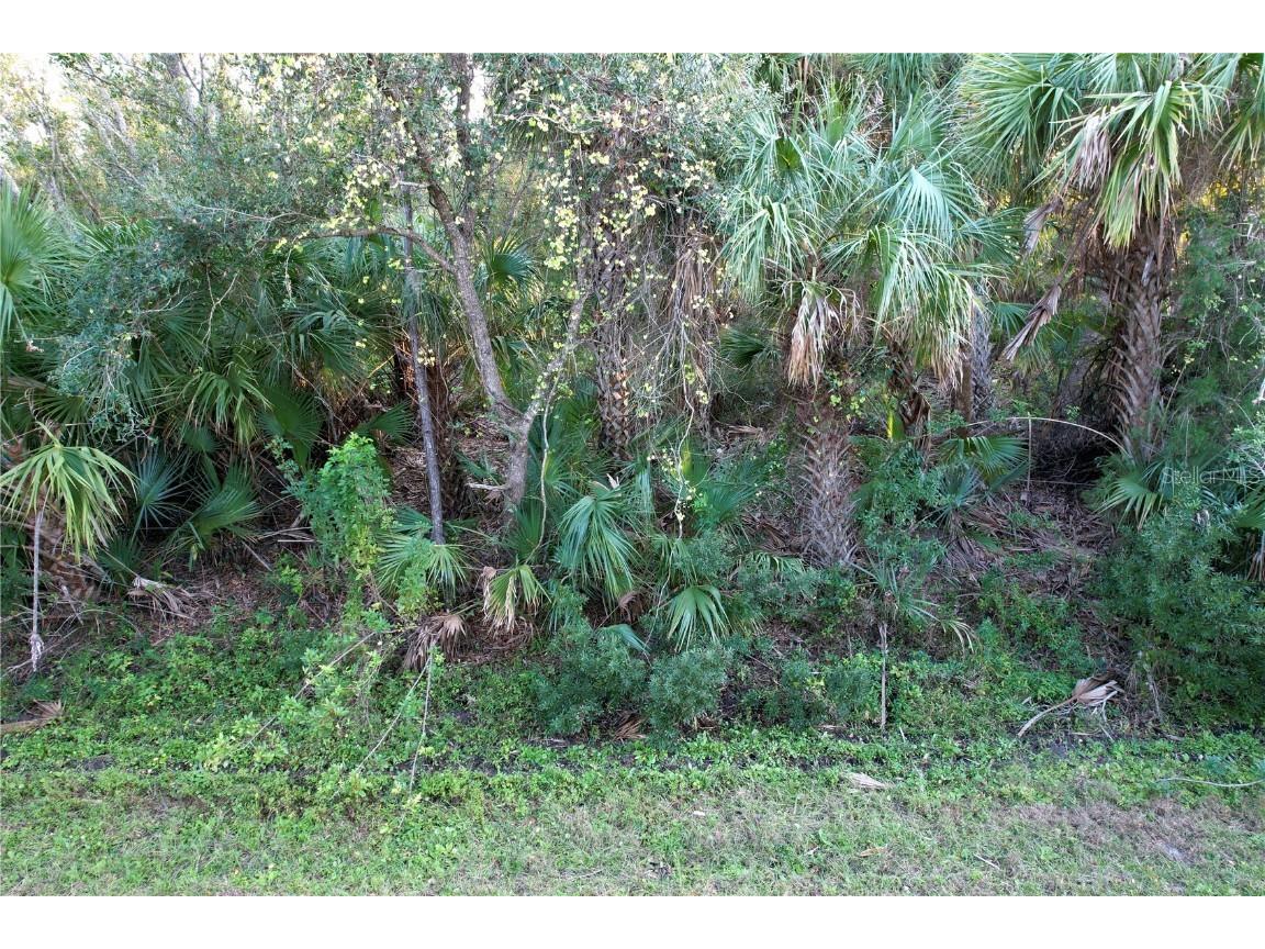 14299 Cannell Lane Port Charlotte FL 33953 C7503190 image4