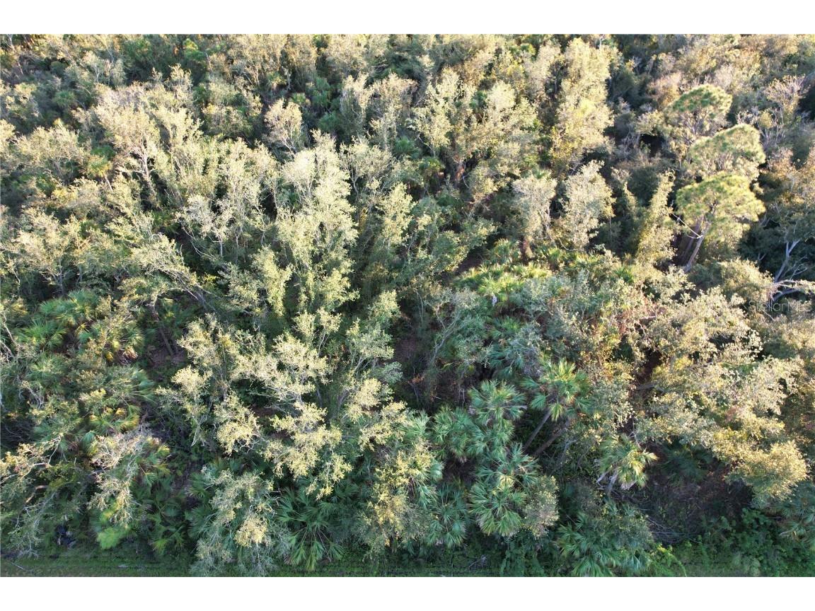 14299 Cannell Lane Port Charlotte FL 33953 C7503190 image5