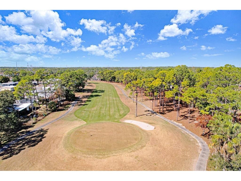 14299 Nectarine Street Brooksville FL 34613 TB8472861 image39