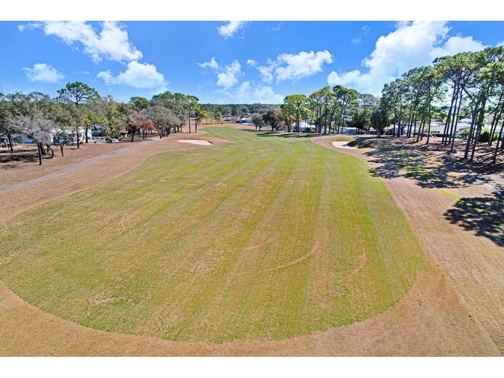14299 Nectarine Street Brooksville FL 34613 TB8472861 image40