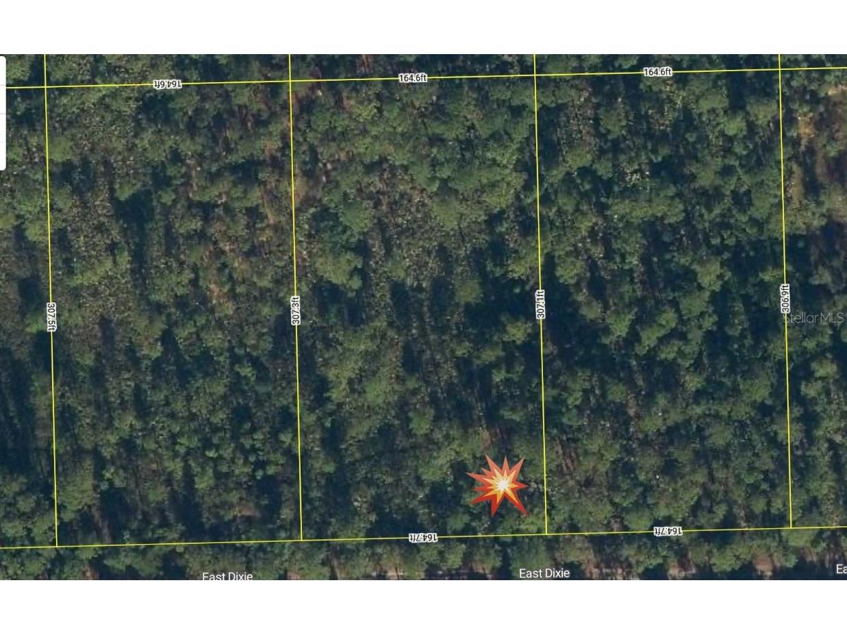 143 E Dixie Street Palatka FL 32177 G5098260 image1