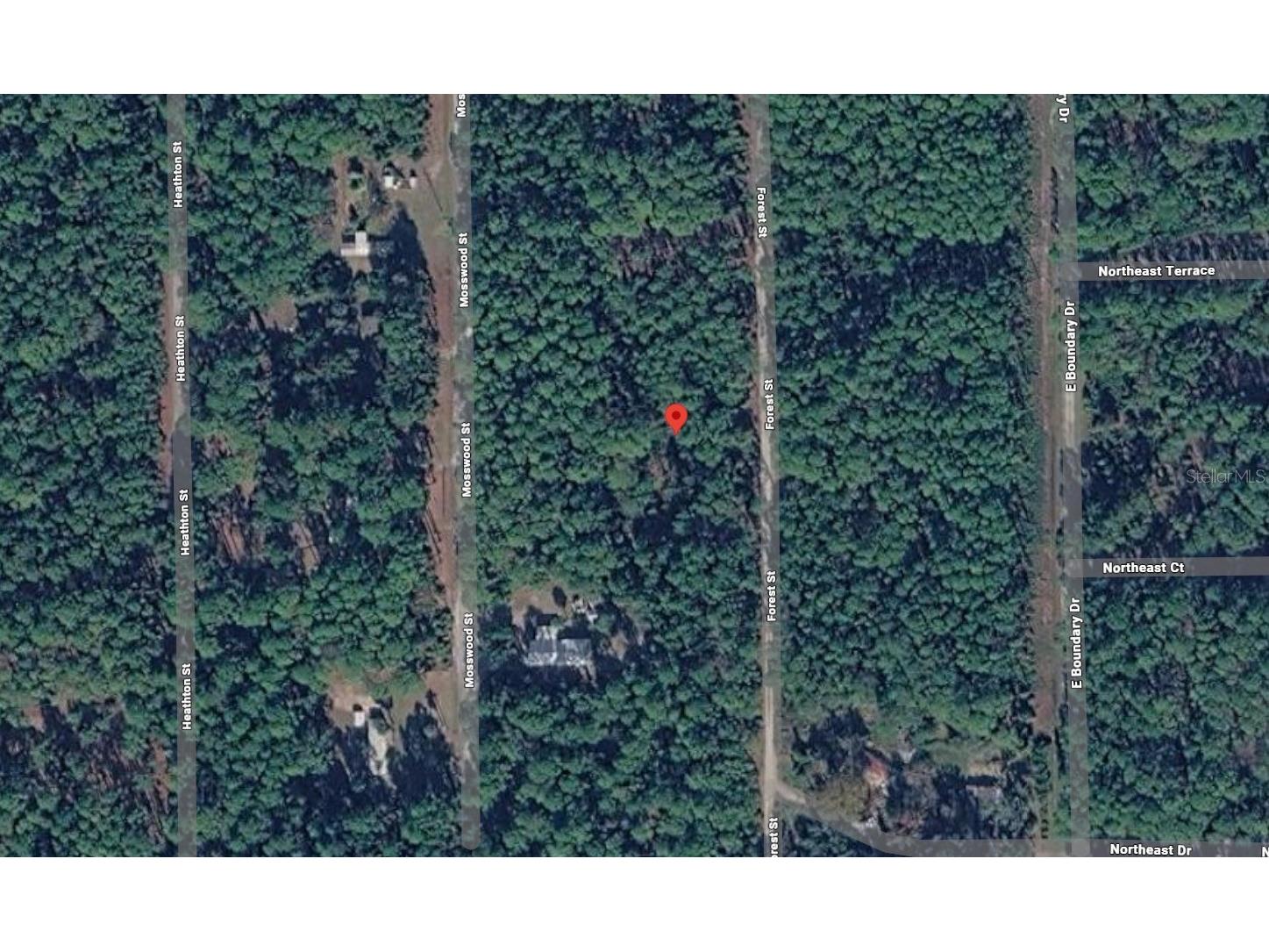 143 Forest Street Georgetown FL 32139 K4903399 image1