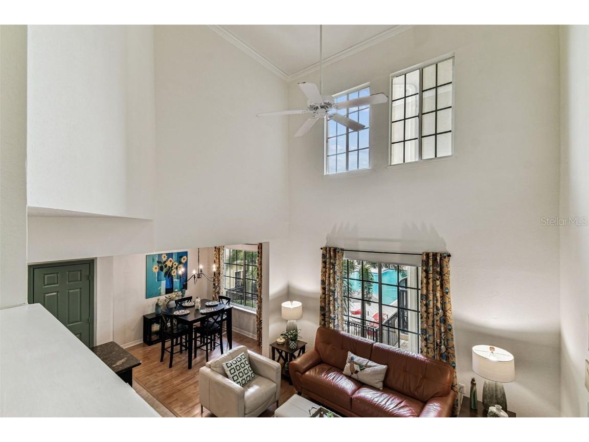 143 Grand Beach Place #143 Tampa FL 33609 TB8436989 image35