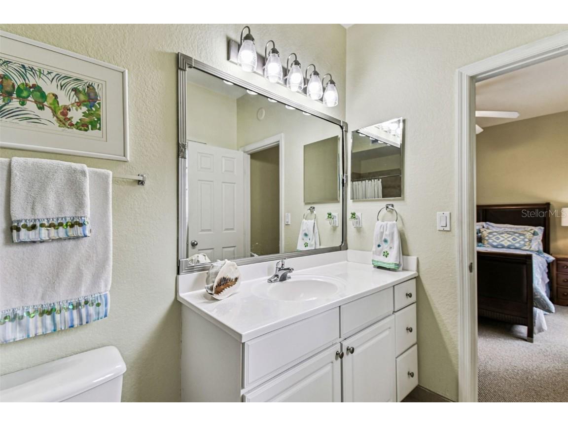 143 Grand Beach Place #143 Tampa FL 33609 TB8436989 image50