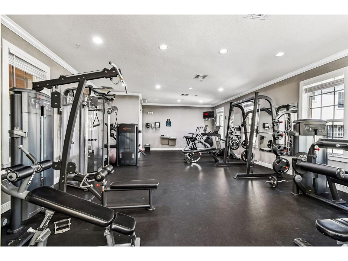 143 Grand Beach Place #143 Tampa FL 33609 TB8436989 image75