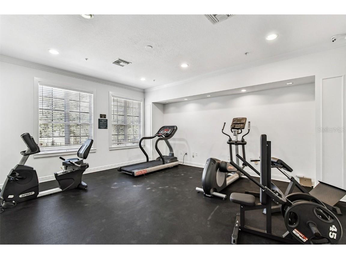 143 Grand Beach Place #143 Tampa FL 33609 TB8436989 image77