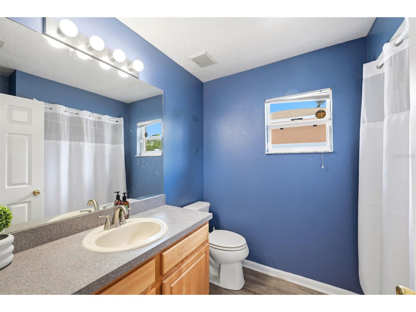 143 Laurel Ridge Avenue Ocoee FL 34761 O6415129 image19