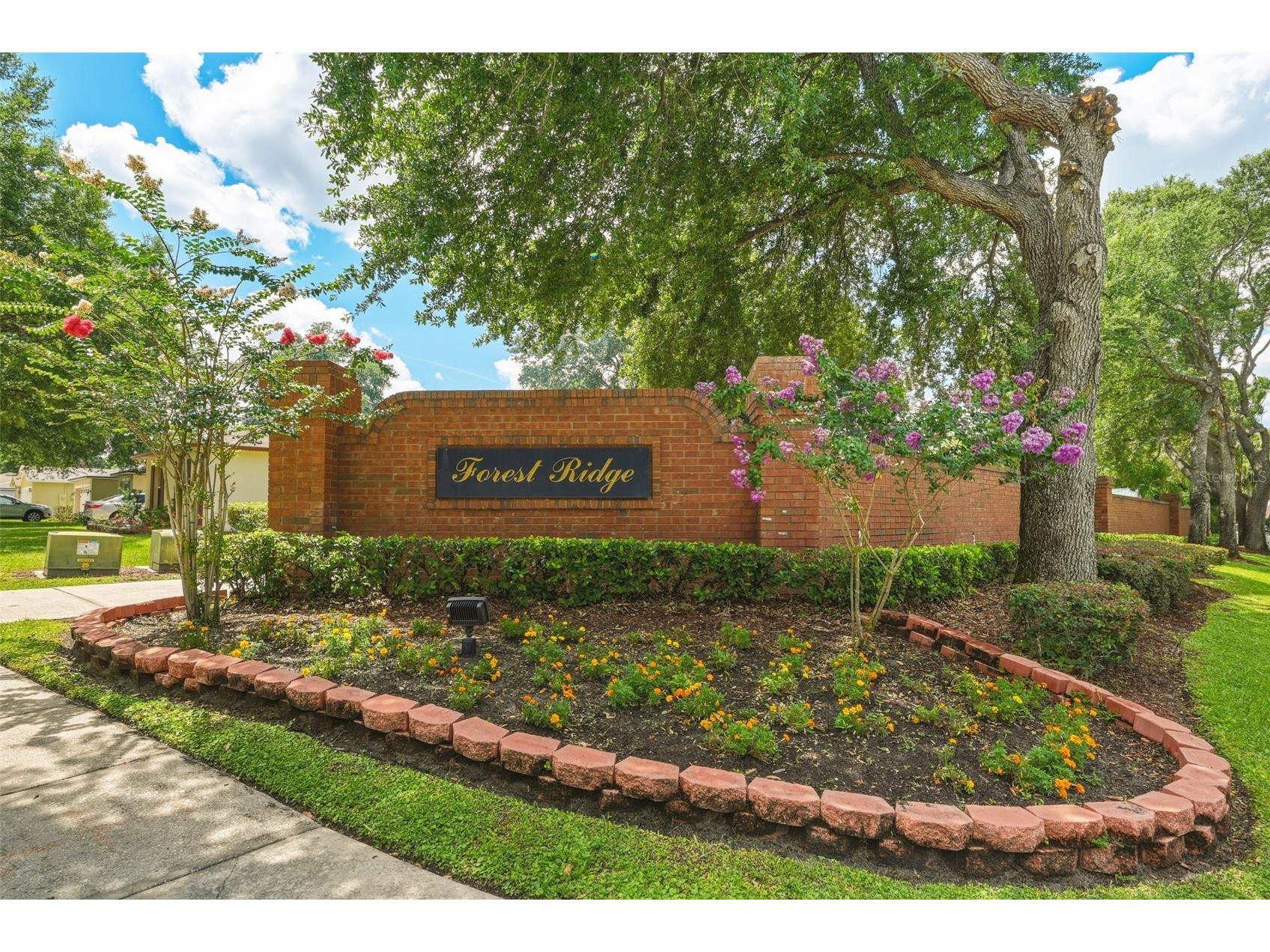 143 Laurel Ridge Avenue Ocoee FL 34761 O6415129 image26