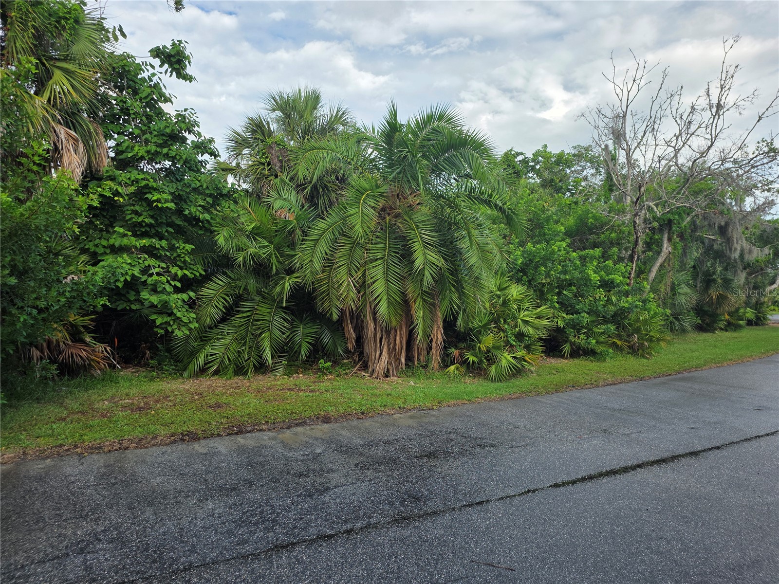 143 Osprey Point Drive Osprey FL 34229 A4694133 image6