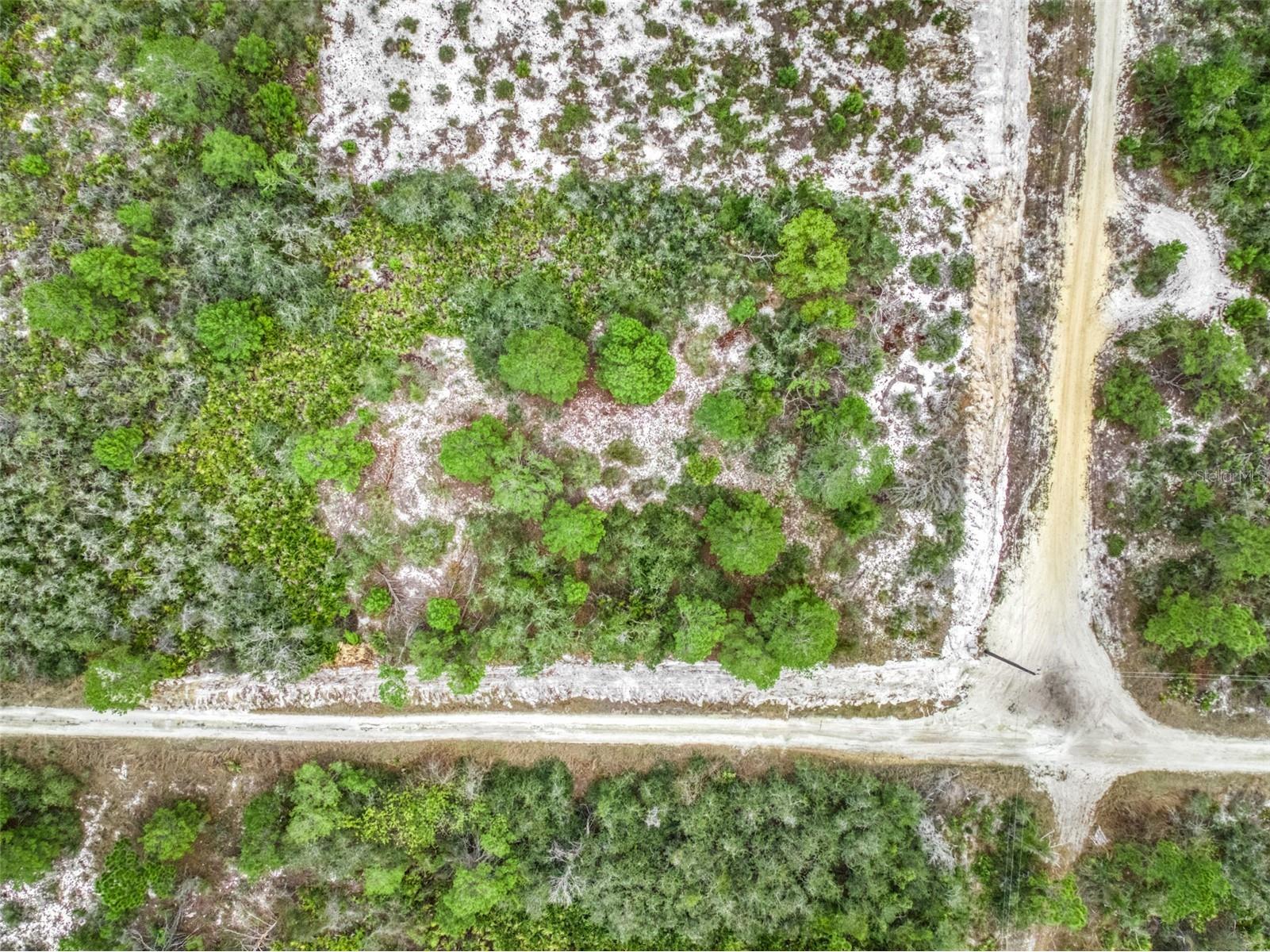 143 Patton Avenue Lake Placid FL 33852 L4960431 image11