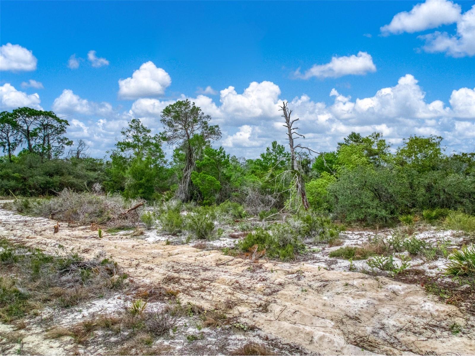 143 Patton Avenue Lake Placid FL 33852 L4960431 image12