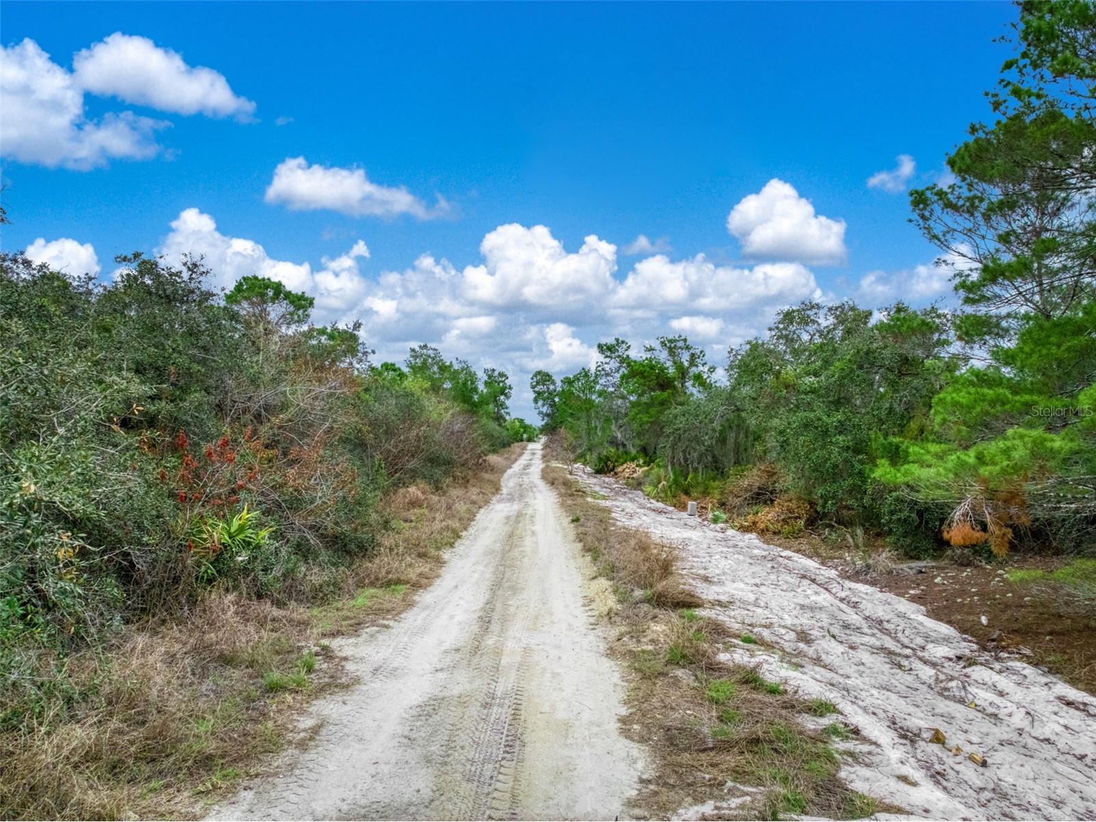 143 Patton Avenue Lake Placid FL 33852 L4960431 image14