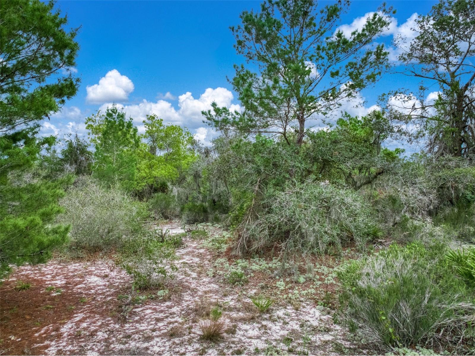 143 Patton Avenue Lake Placid FL 33852 L4960431 image15