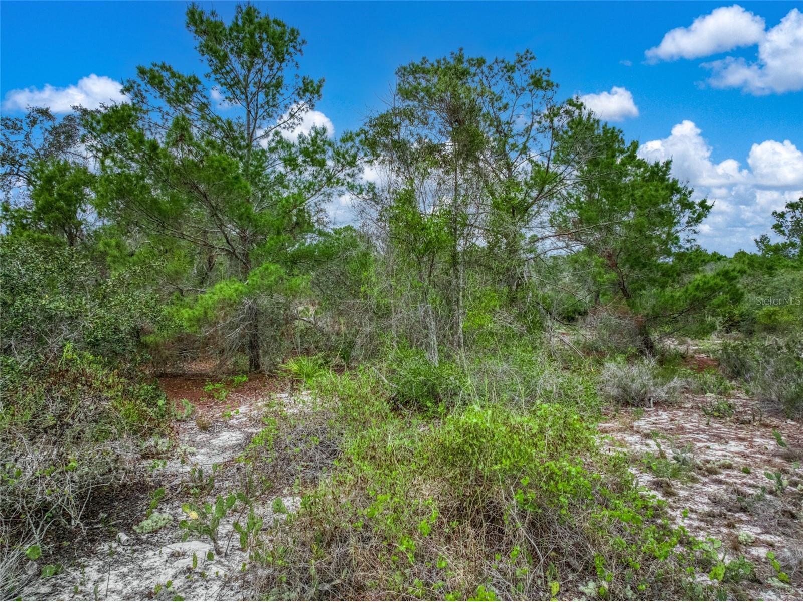 143 Patton Avenue Lake Placid FL 33852 L4960431 image16