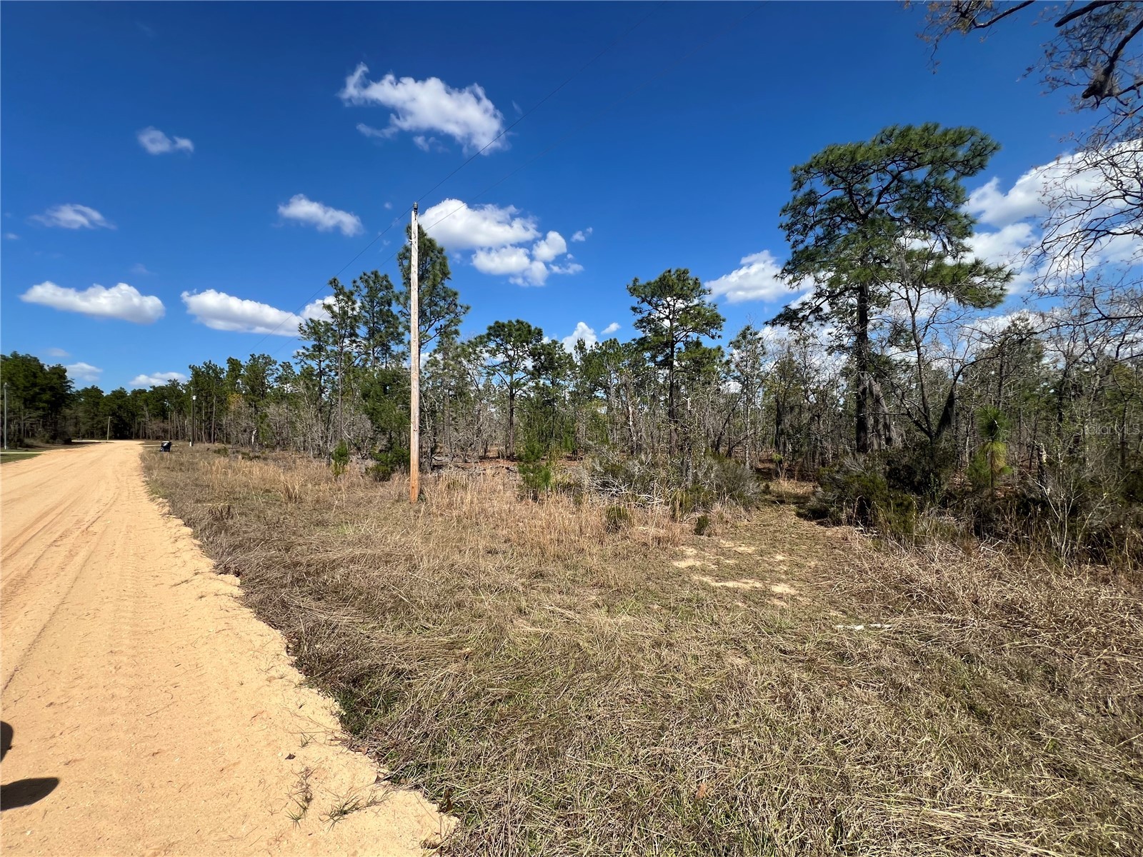 143 Quail Way Hawthorne FL 32640 GC538323 image7