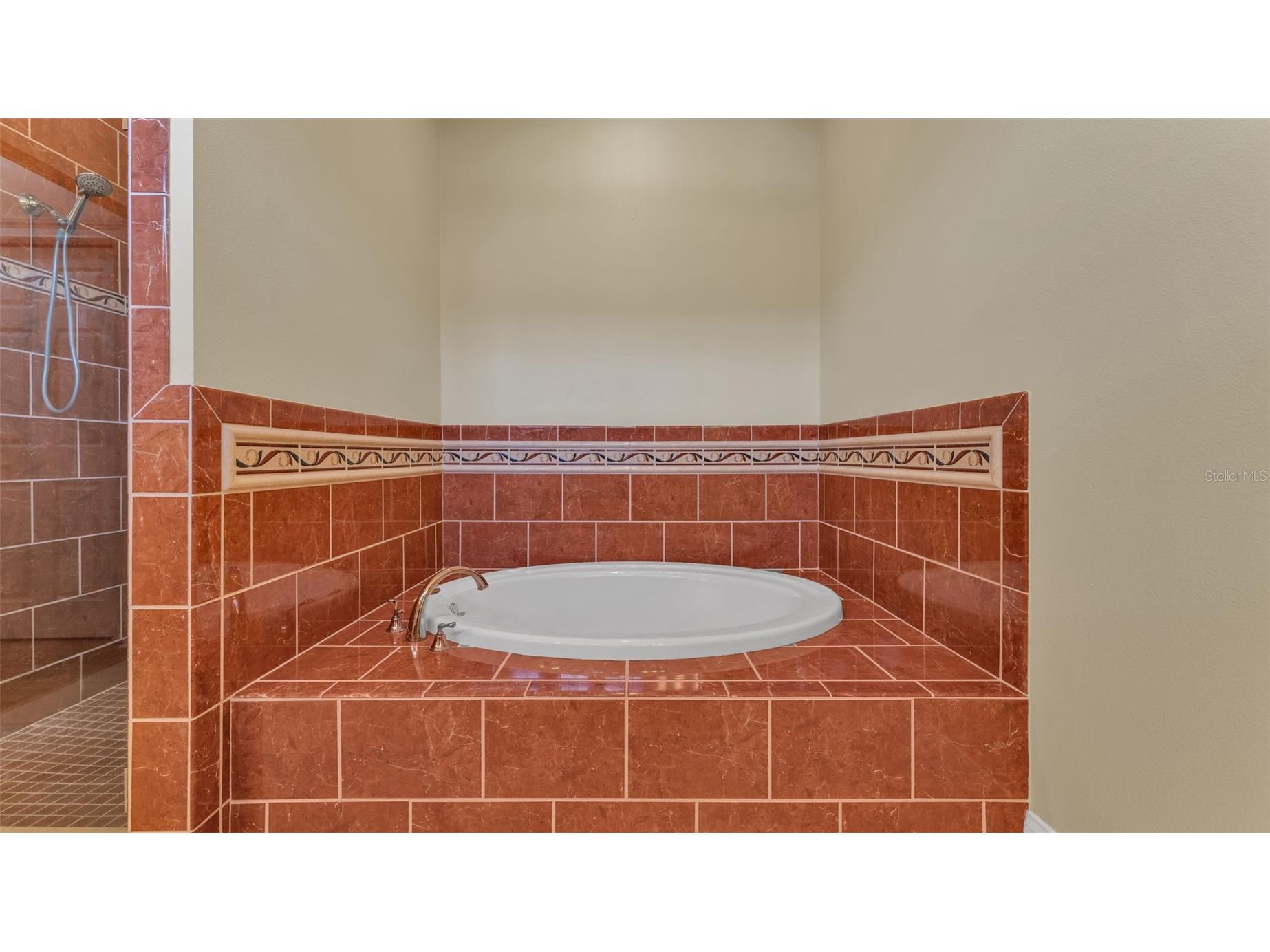 143 Shannon Oaks Drive Lakeland FL 33813 L4961630 image36