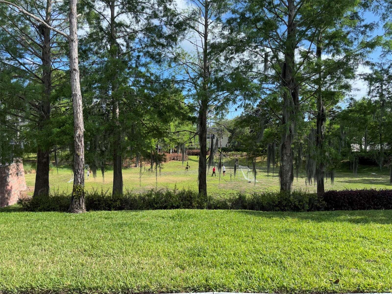 143 Southern Pecan Circle #206 Winter Garden FL 34787 S5148778 image19