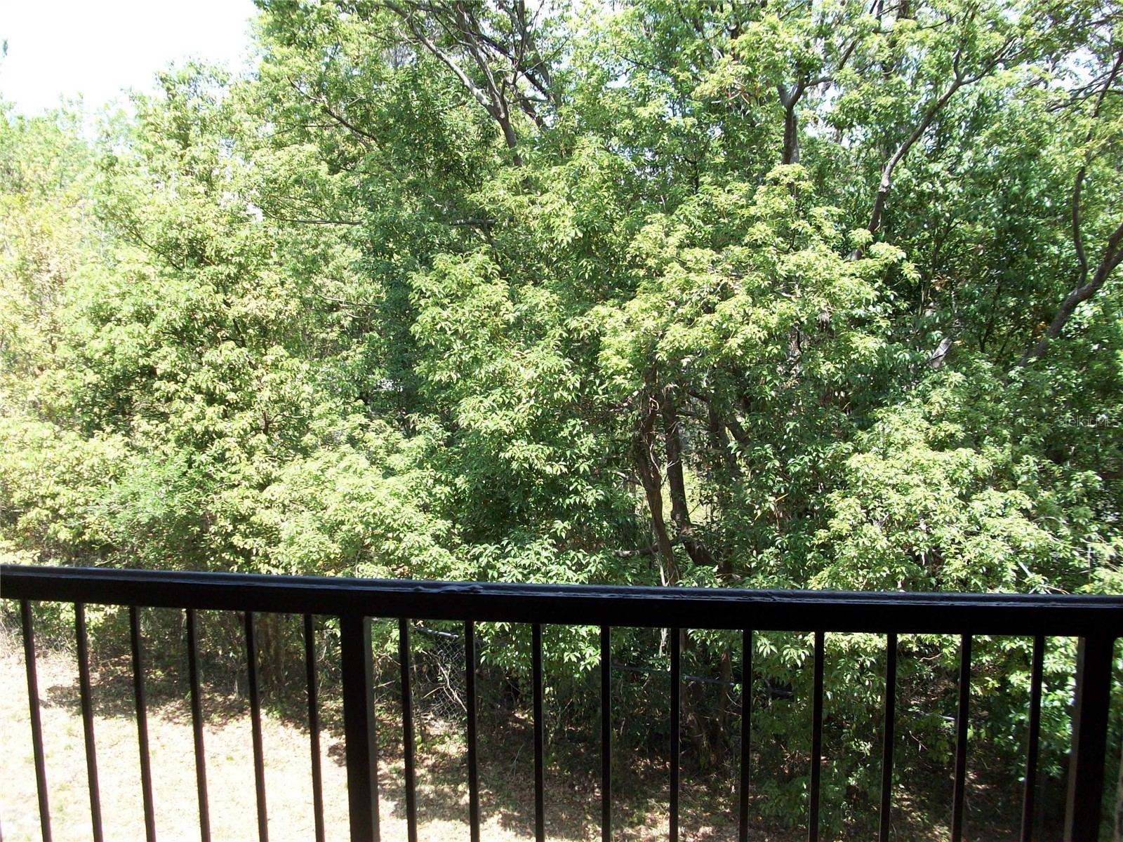 143 Villa Di Este Terrace #205 Lake Mary FL 32746 O6395879 image17