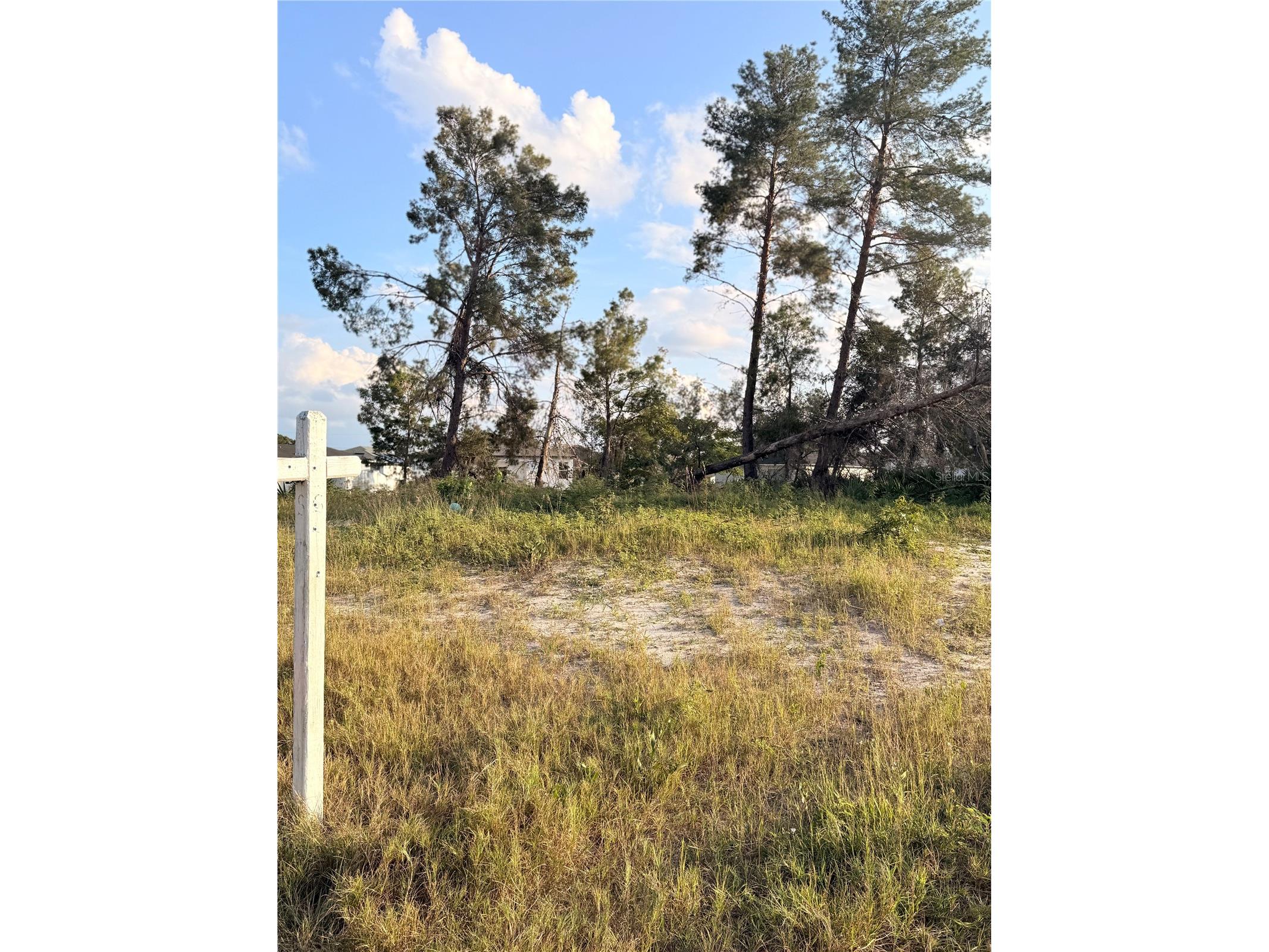 143 Zinnia Lane W Kissimmee FL 34759 O6365644 image2