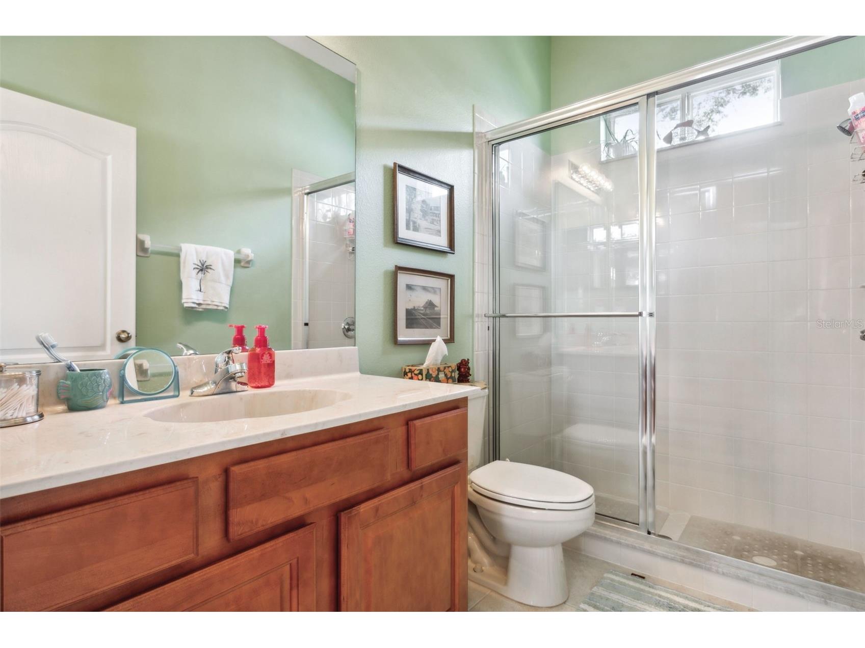 1430 Beaconsfield Drive Wesley Chapel FL 33543 TB8464463 image33