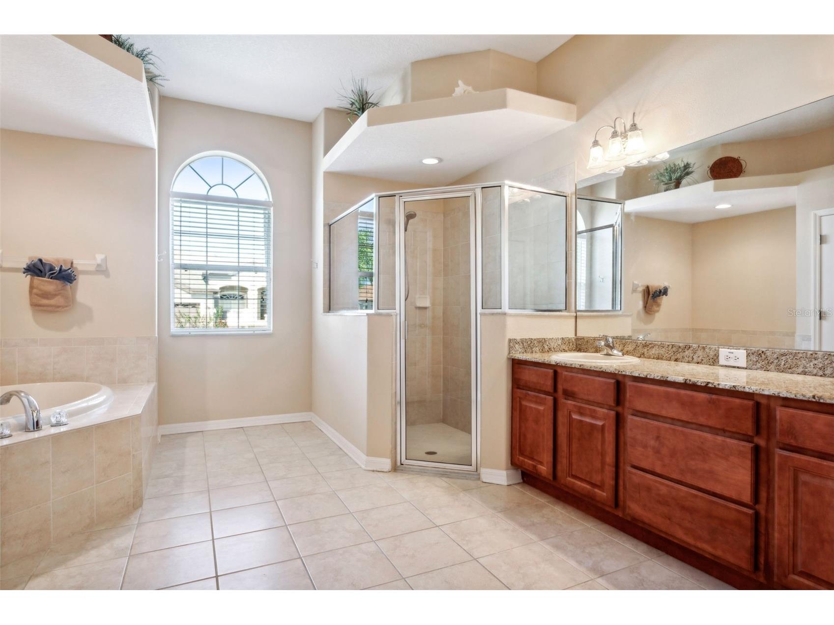 1430 Beaconsfield Drive Wesley Chapel FL 33543 TB8464463 image39
