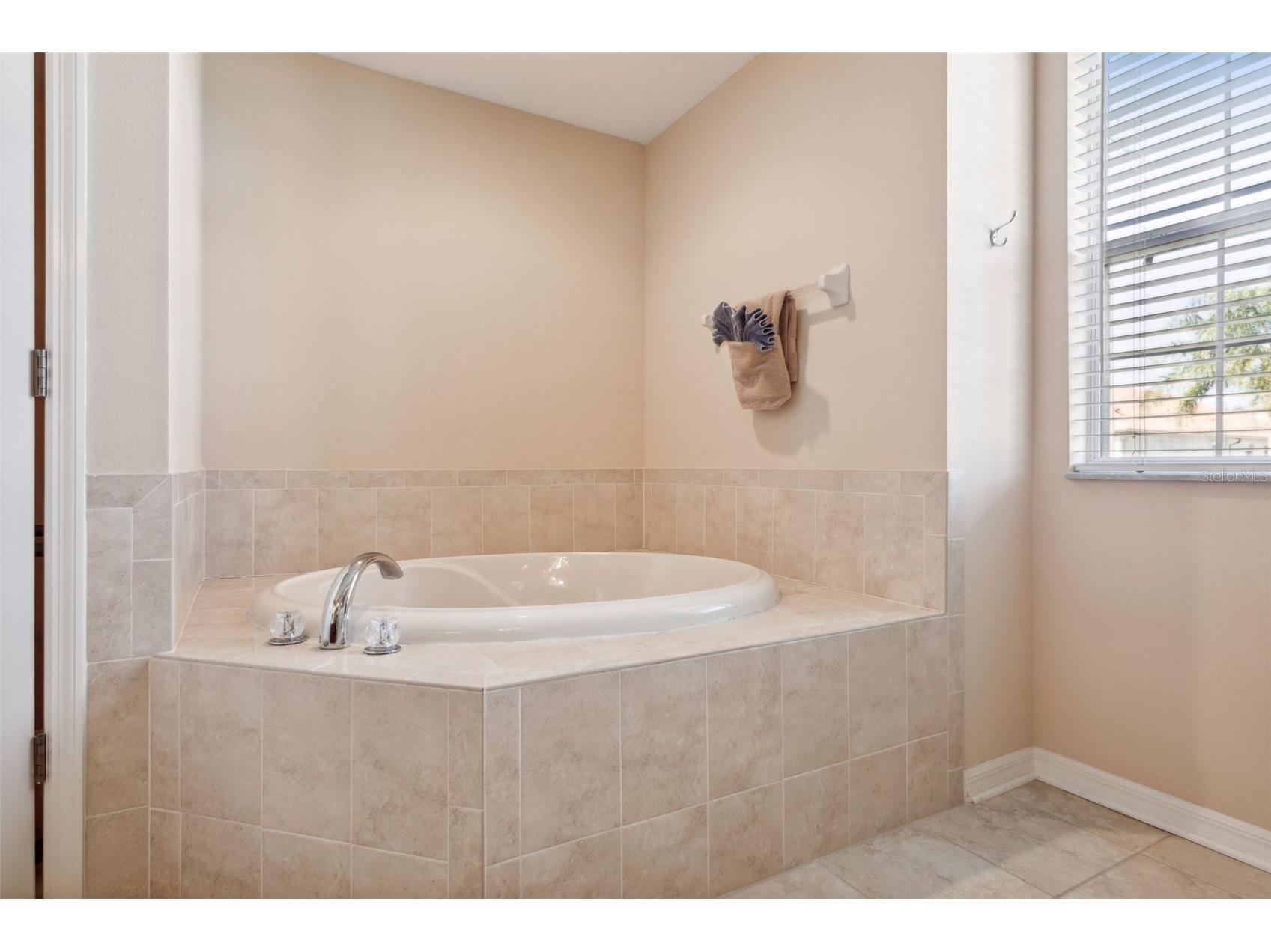 1430 Beaconsfield Drive Wesley Chapel FL 33543 TB8464463 image41