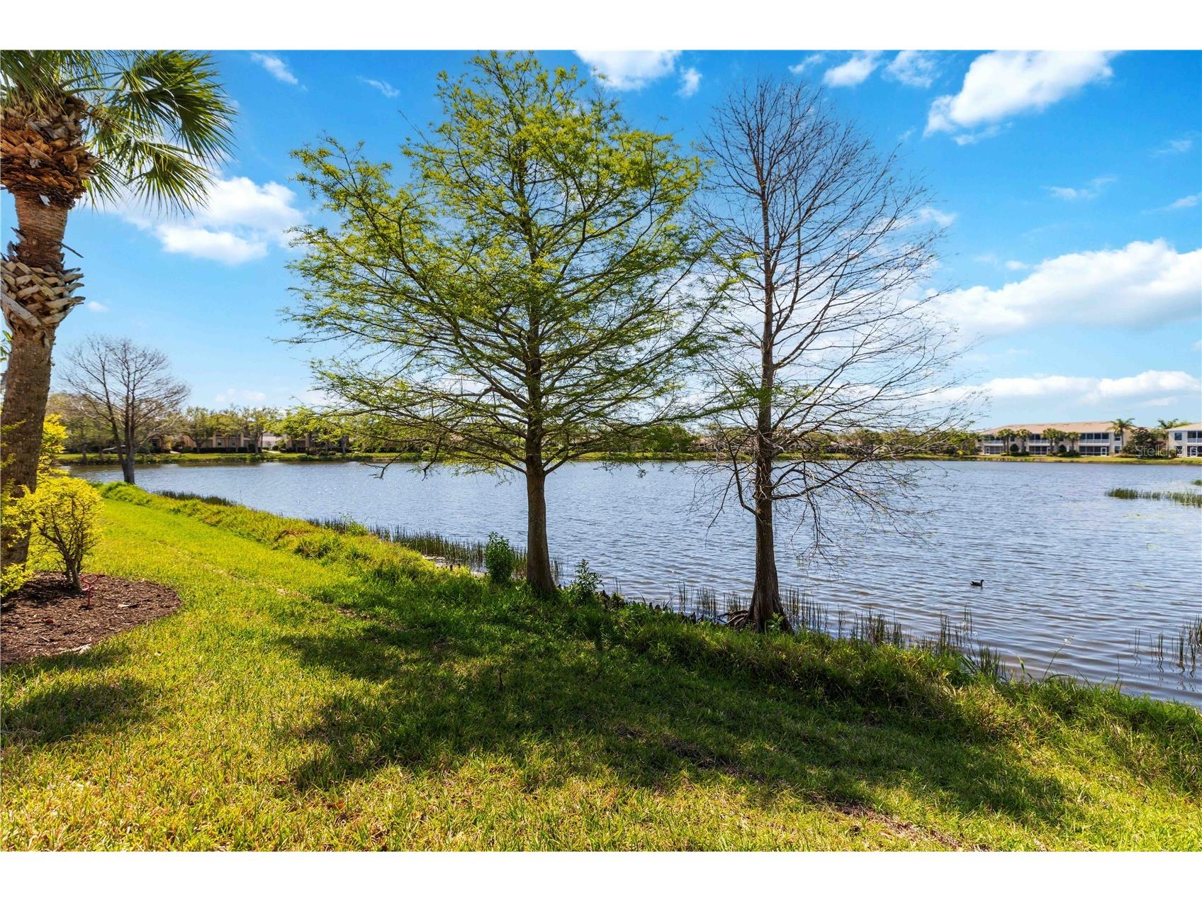 1430 Burgos Drive Sarasota FL 34238 A4687557 image19