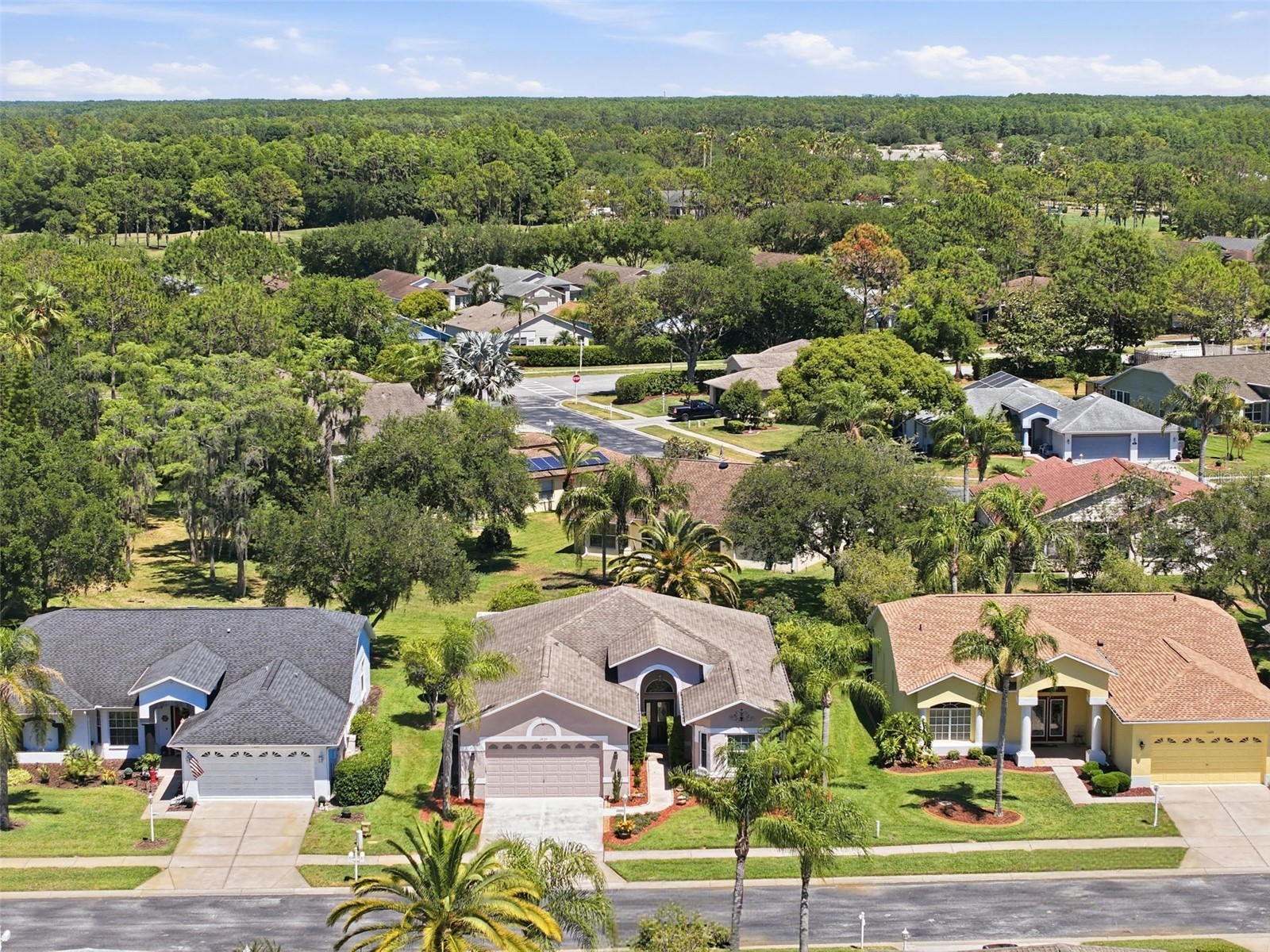 1430 Canberley Court Trinity FL 34655 TB8507185 image46