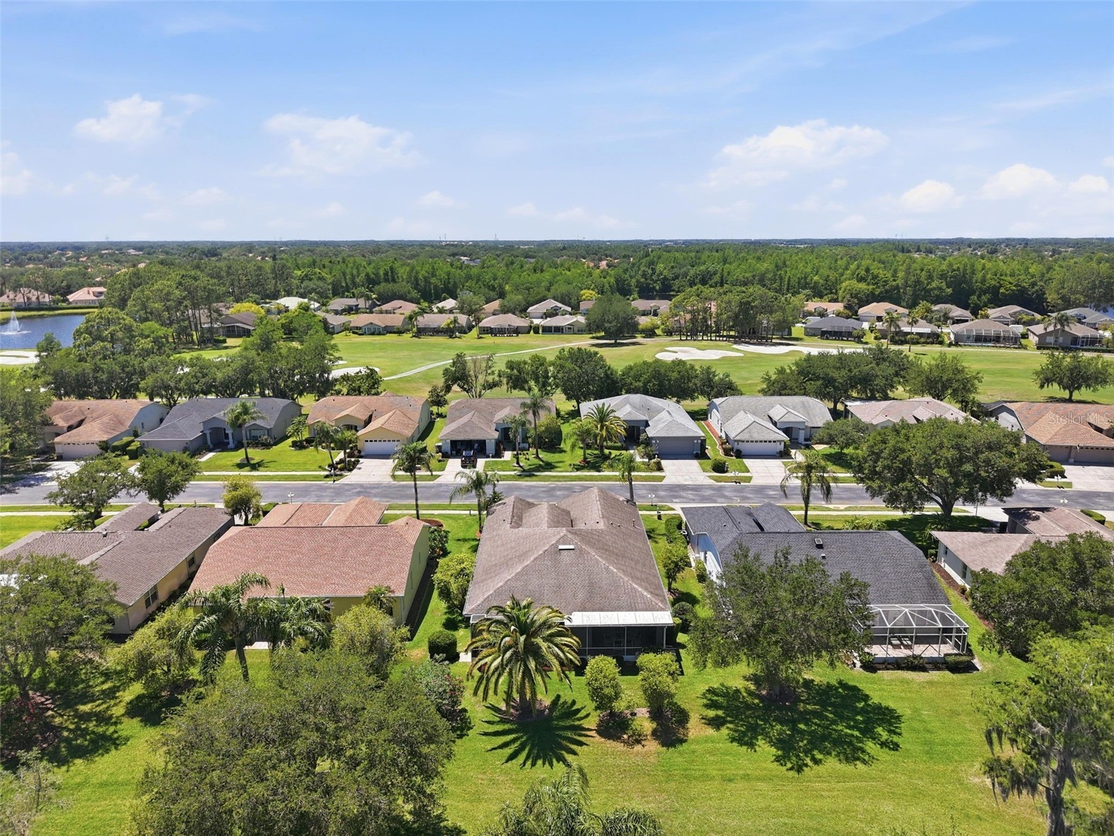 1430 Canberley Court Trinity FL 34655 TB8507185 image47