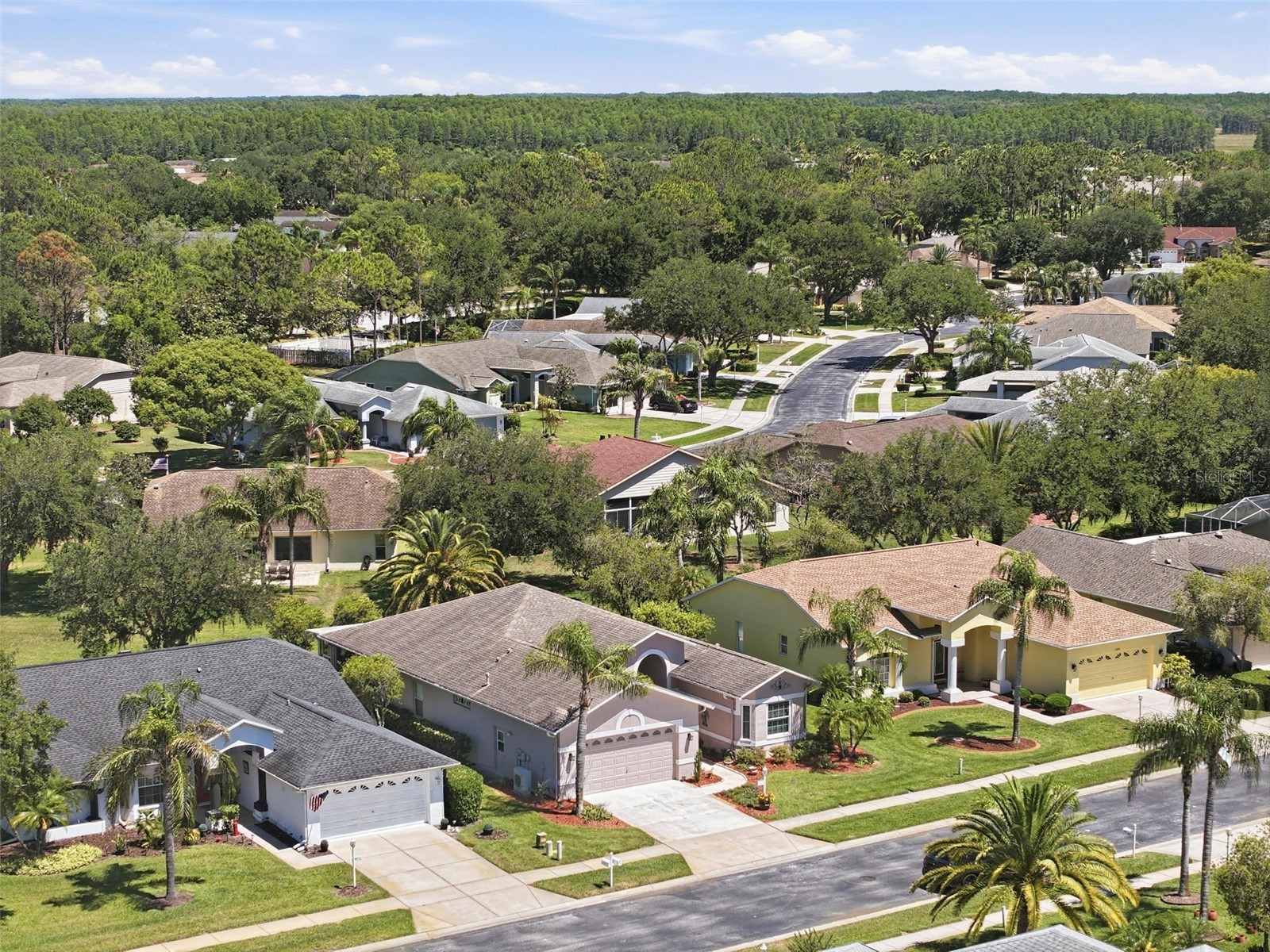 1430 Canberley Court Trinity FL 34655 TB8507185 image48