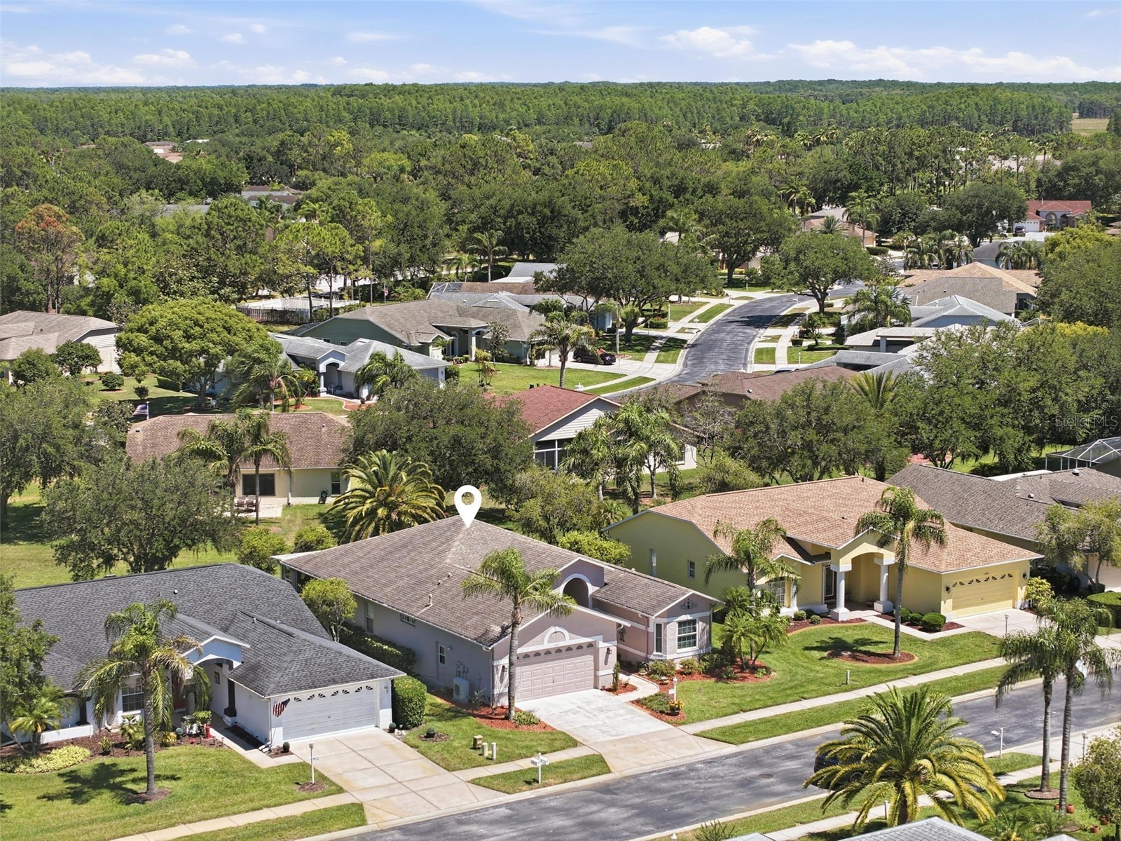 1430 Canberley Court Trinity FL 34655 TB8507185 image50
