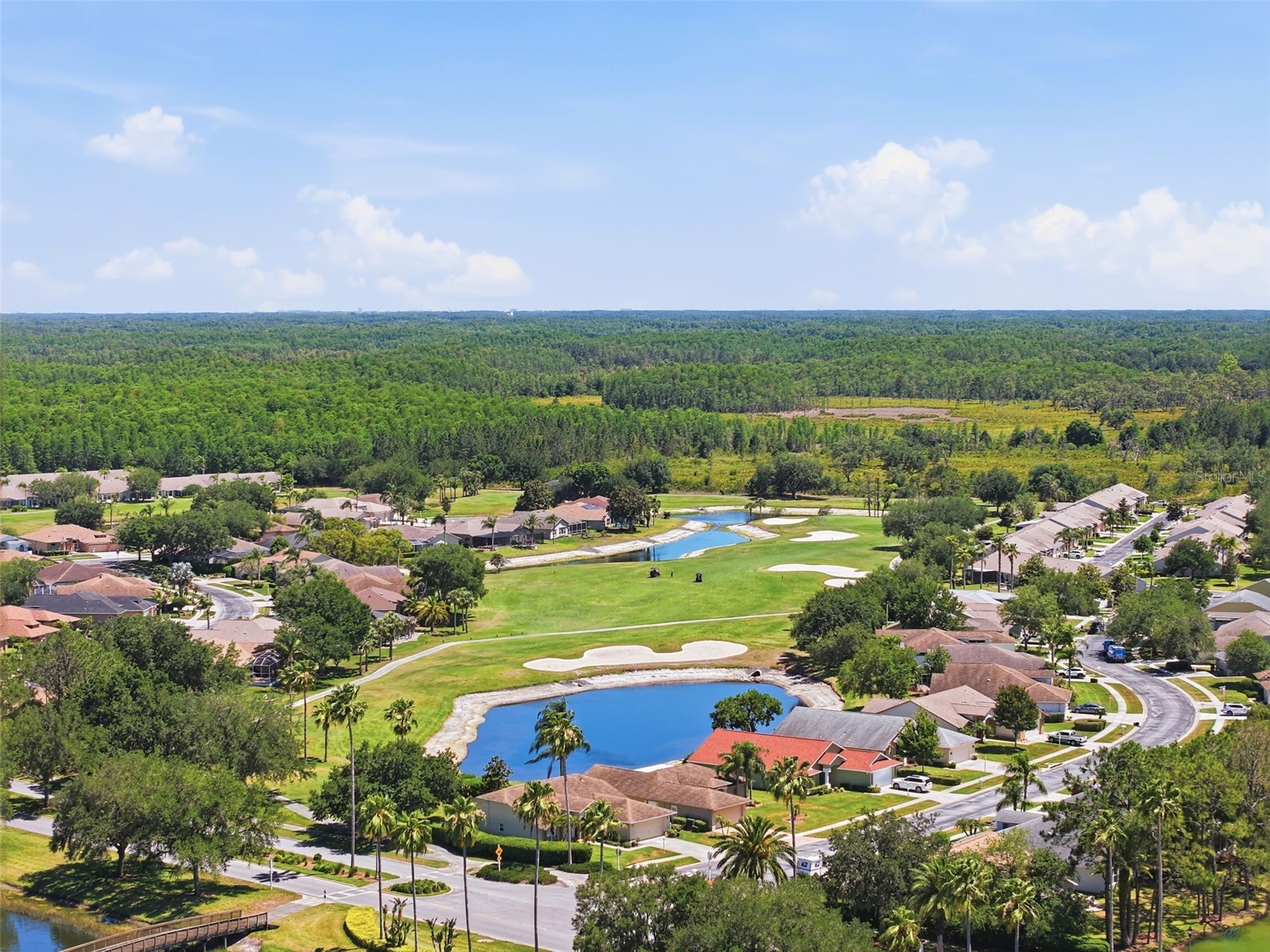 1430 Canberley Court Trinity FL 34655 TB8507185 image52