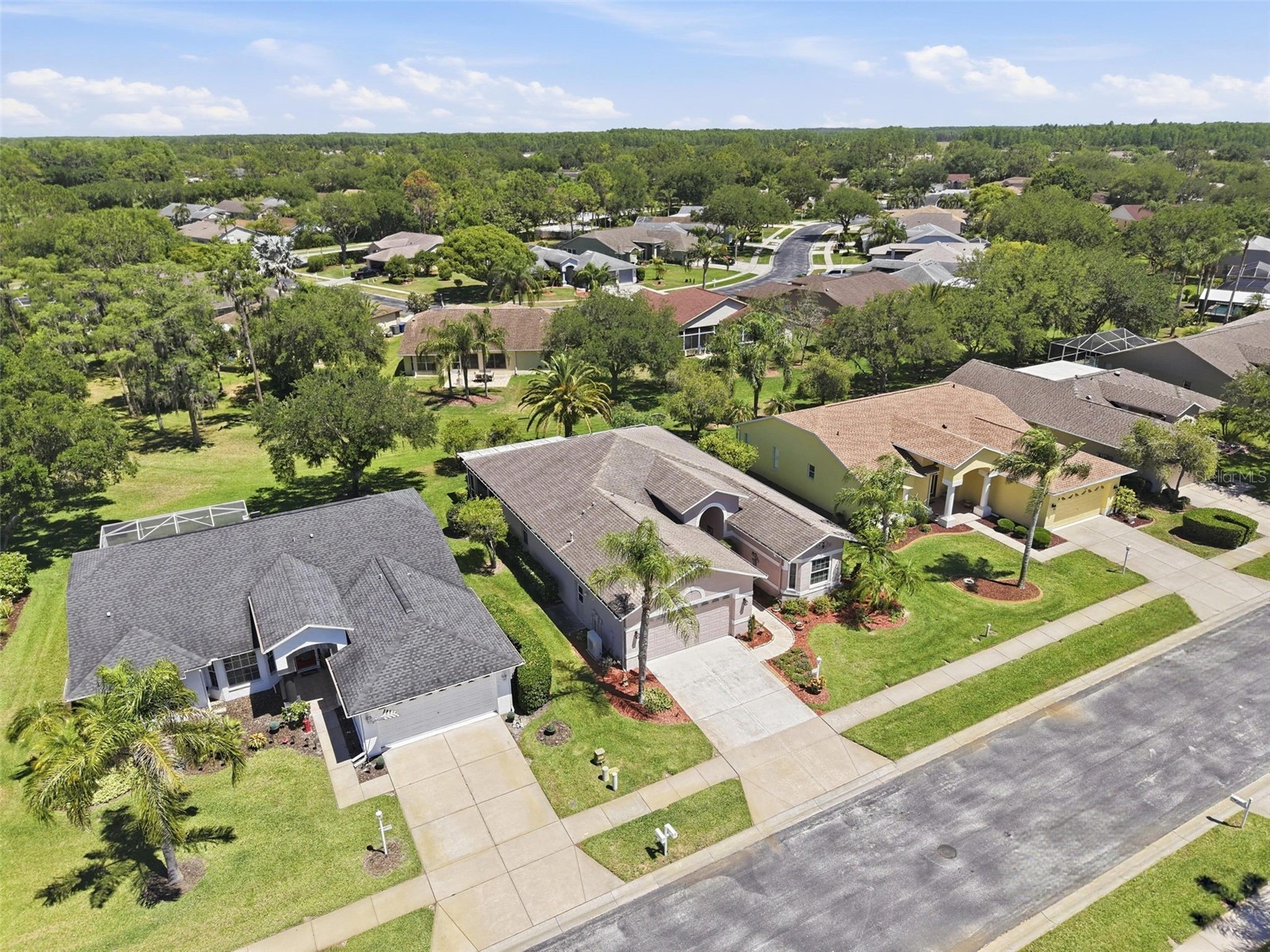 1430 Canberley Court Trinity FL 34655 TB8507185 image64