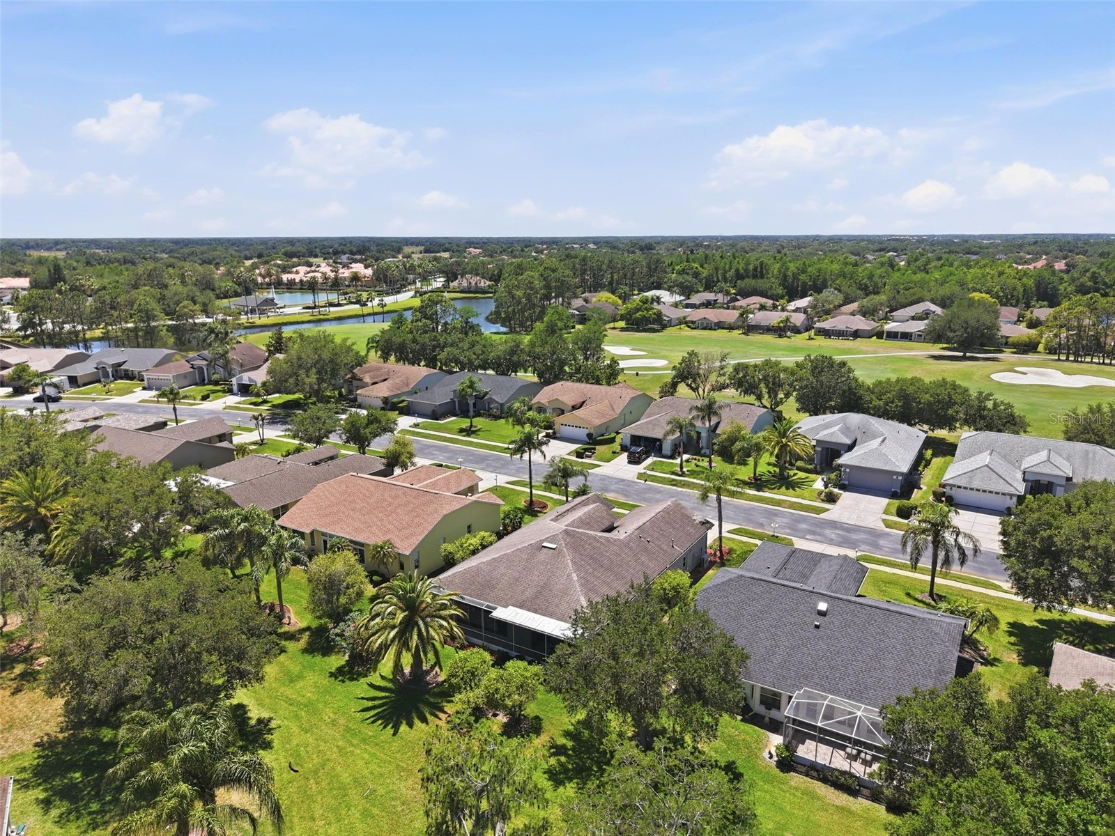 1430 Canberley Court Trinity FL 34655 TB8507185 image65