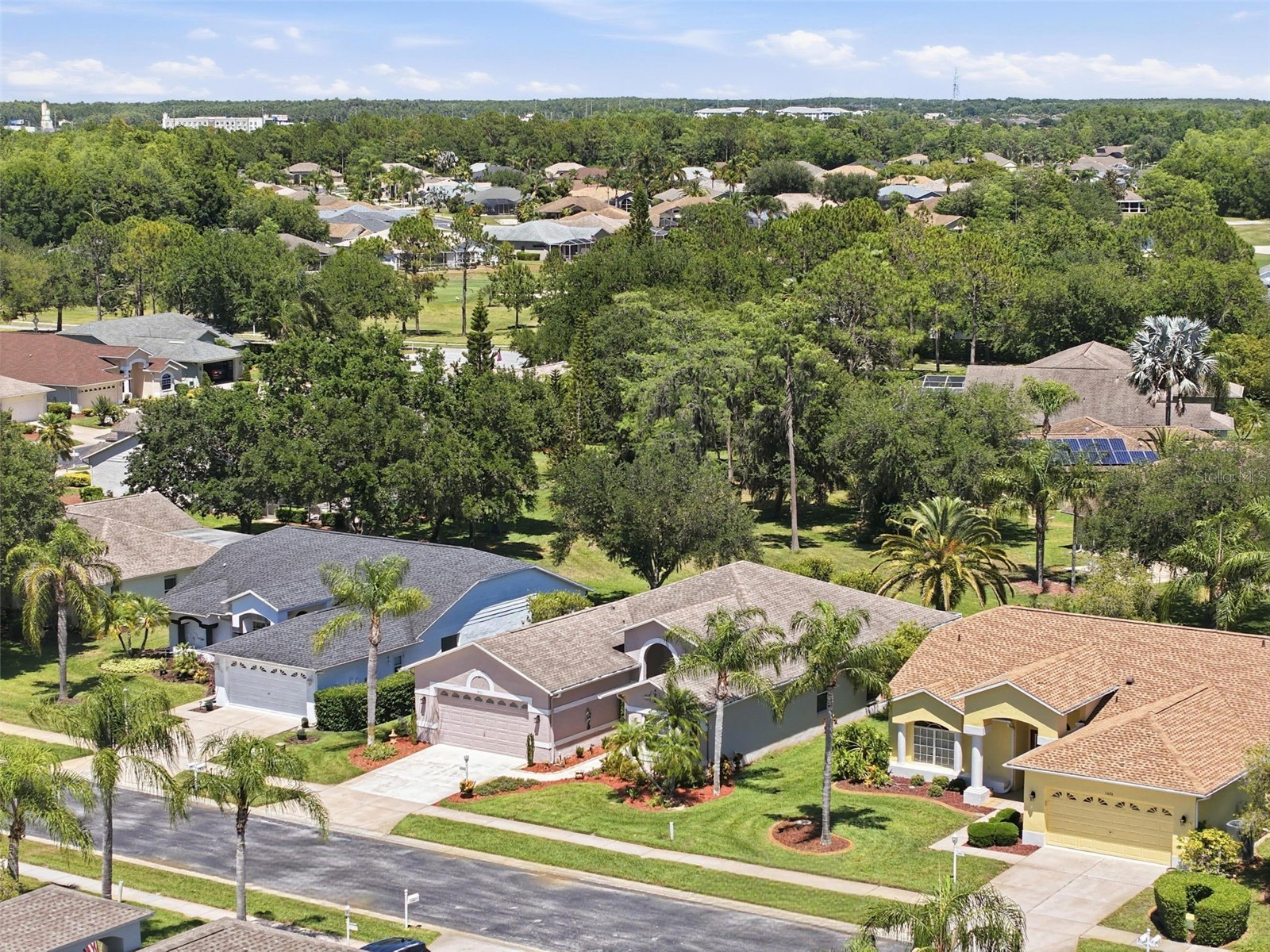 1430 Canberley Court Trinity FL 34655 TB8507185 image66