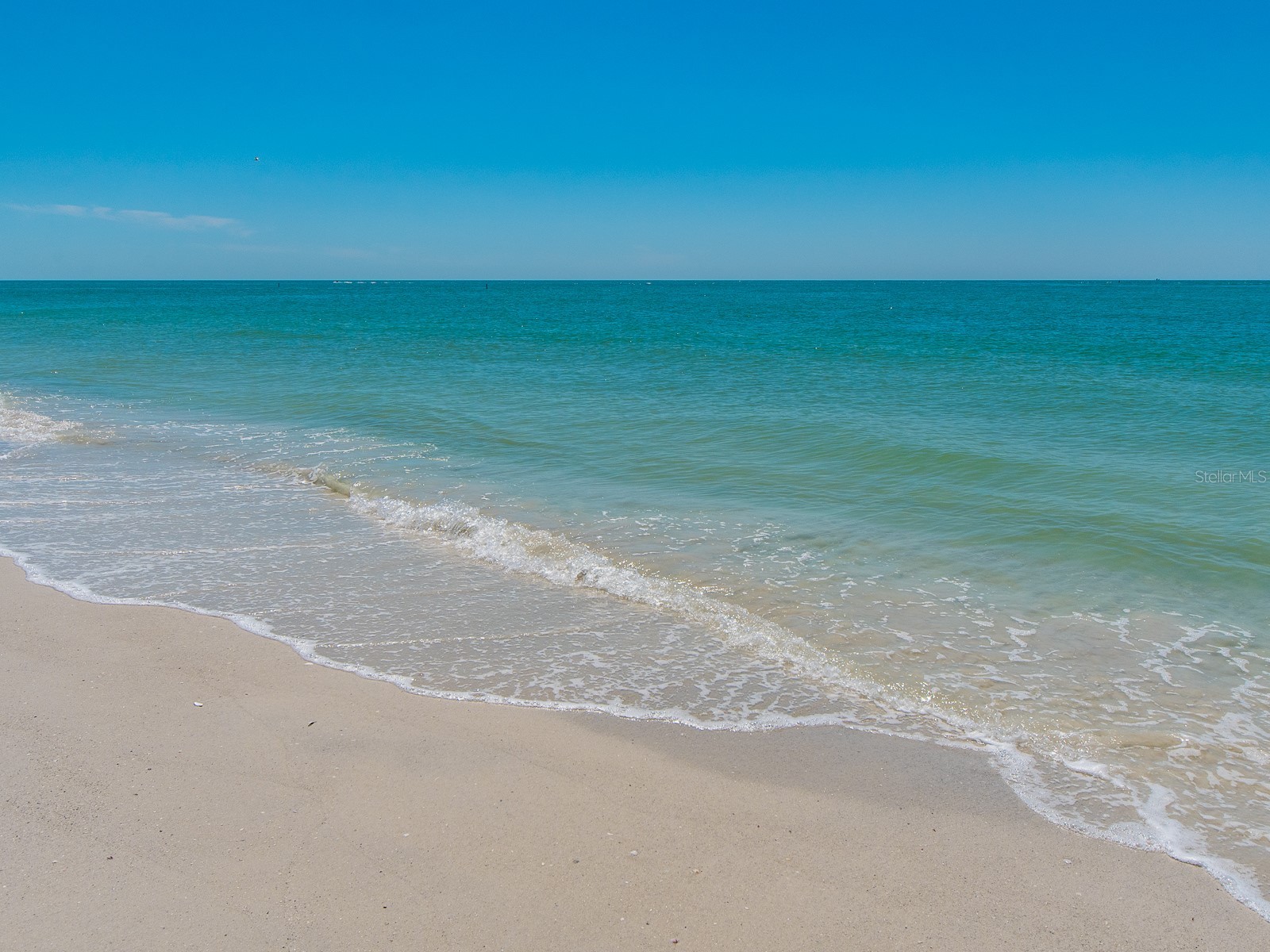 1430 Gulf Boulevard #110 Clearwater FL 33767 TB8456900 image39