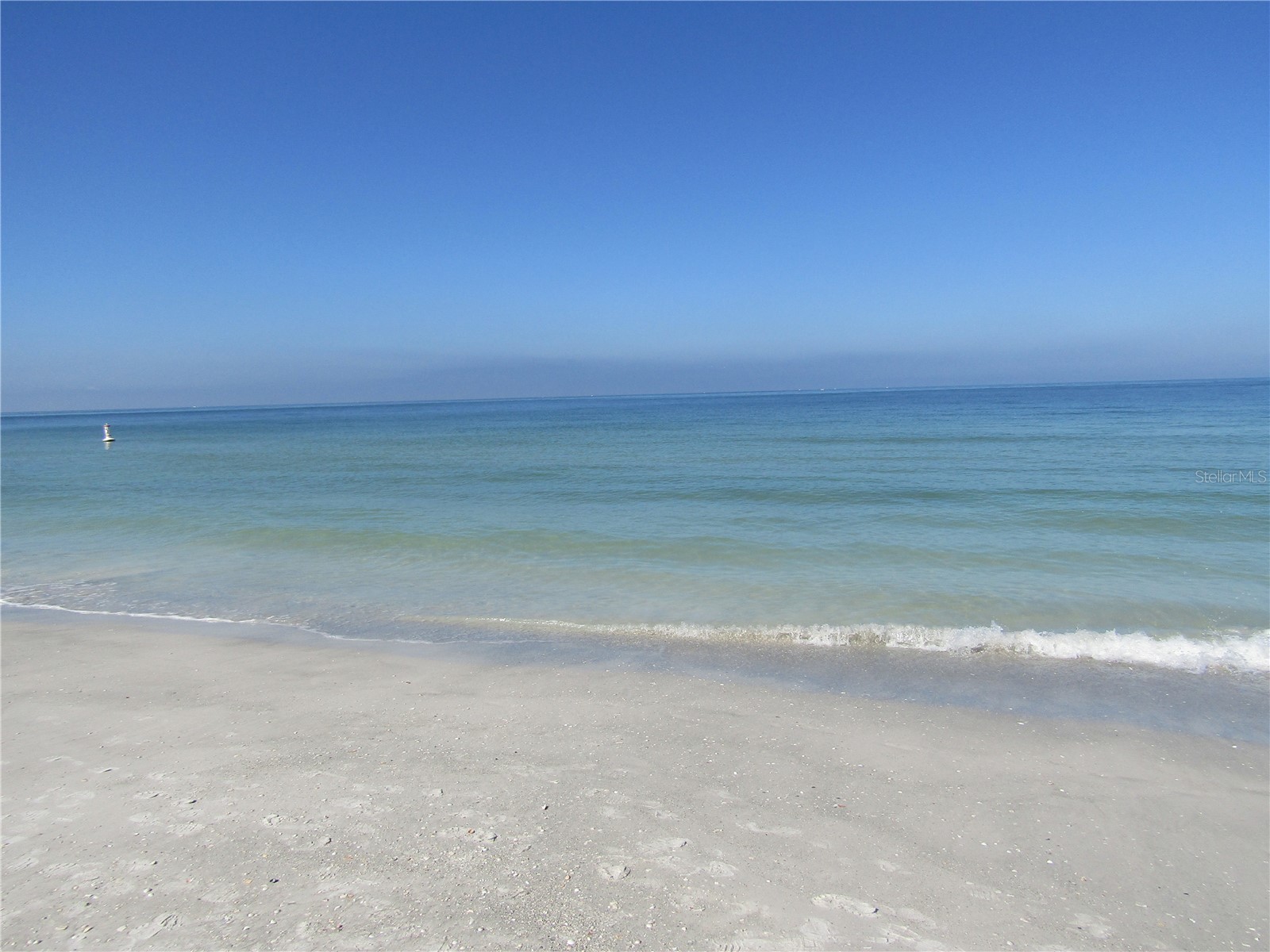 1430 Gulf Boulevard #204 Clearwater Beach FL 33767 TB8469166 image40