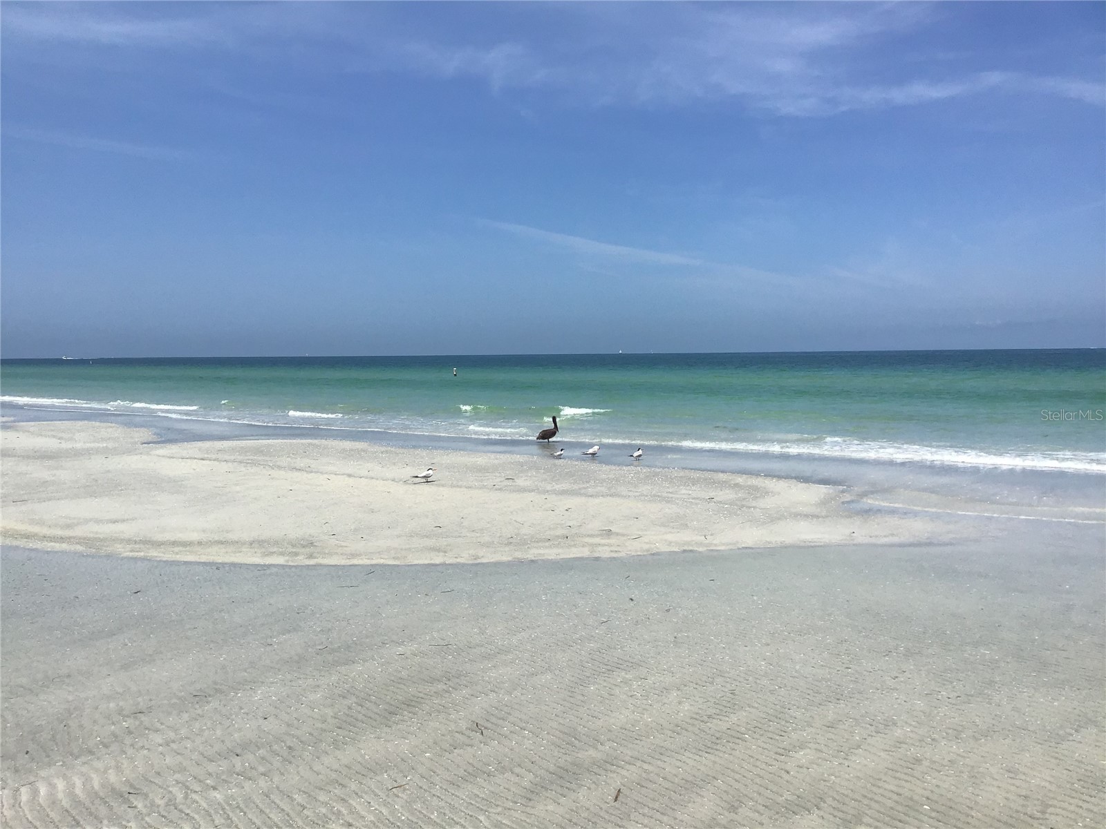 1430 Gulf Boulevard #404 Clearwater Beach FL 33767 - GULF OF MEXICO TB8505662 image33