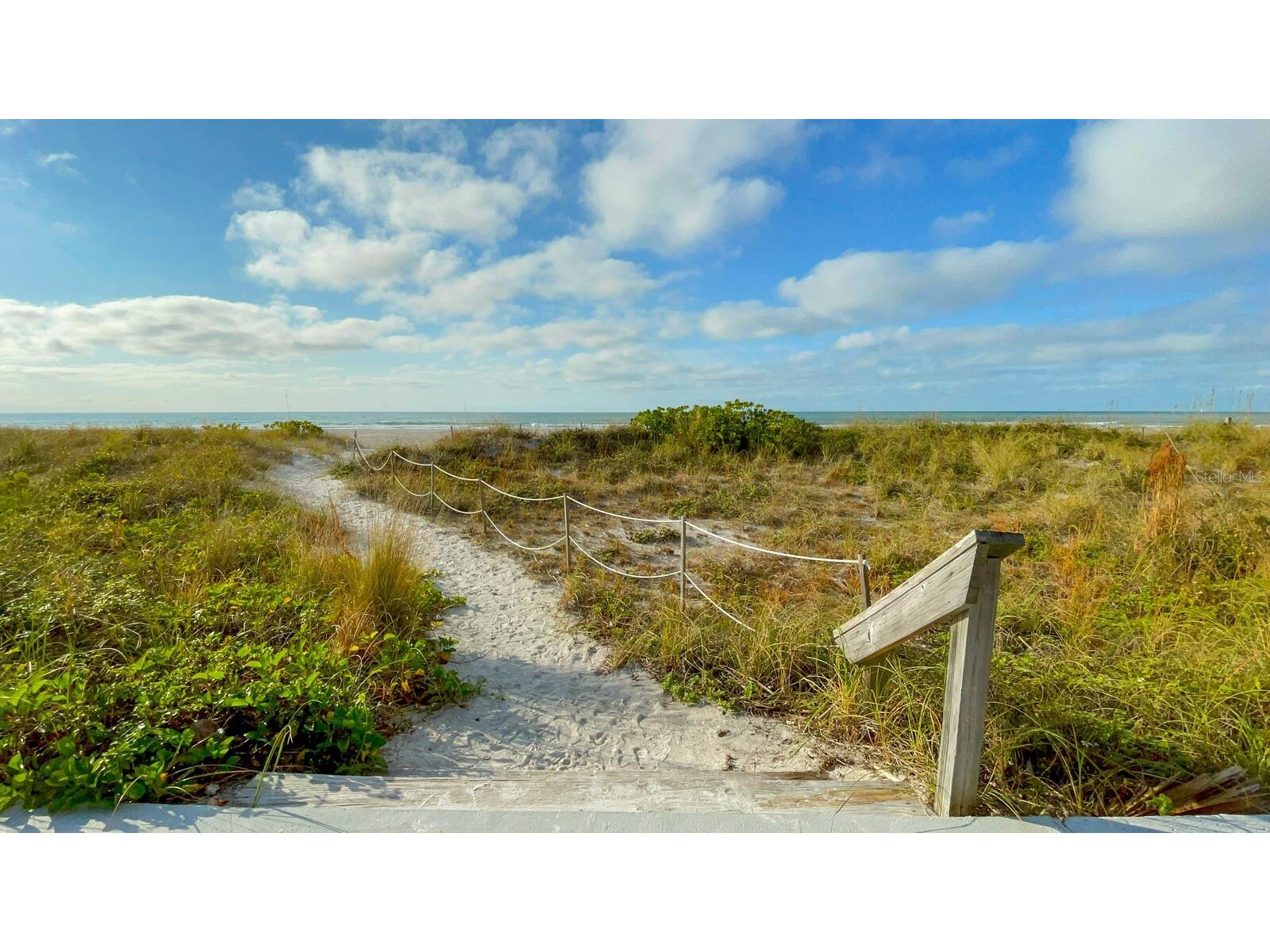 1430 Gulf Boulevard #506 Clearwater Beach FL 33767 TB8501913 image42