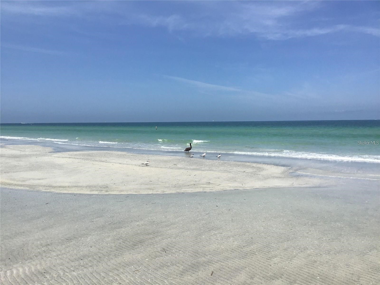 1430 Gulf Boulevard #506 Clearwater Beach FL 33767 TB8501913 image43