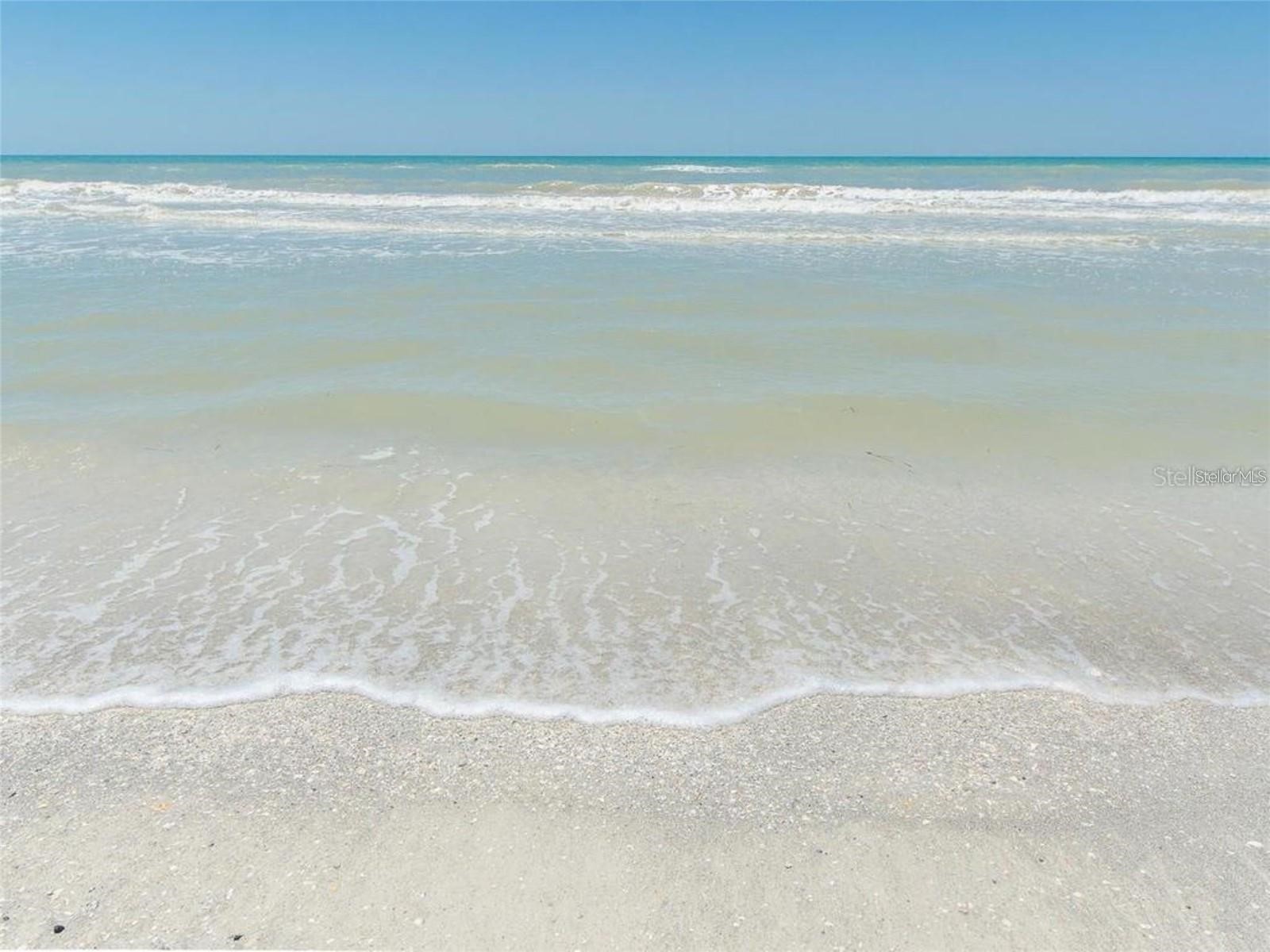 1430 Gulf Boulevard #506 Clearwater Beach FL 33767 TB8501913 image44