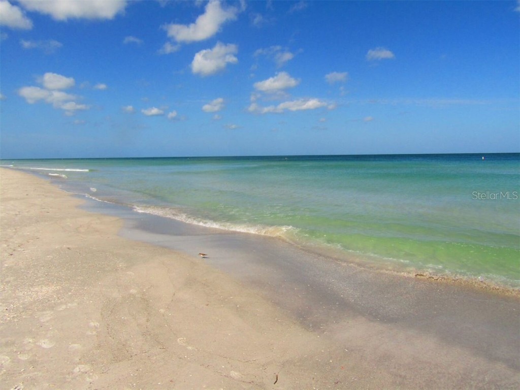 1430 Gulf Boulevard #612 Clearwater Beach FL 33767 TB8325044 image37