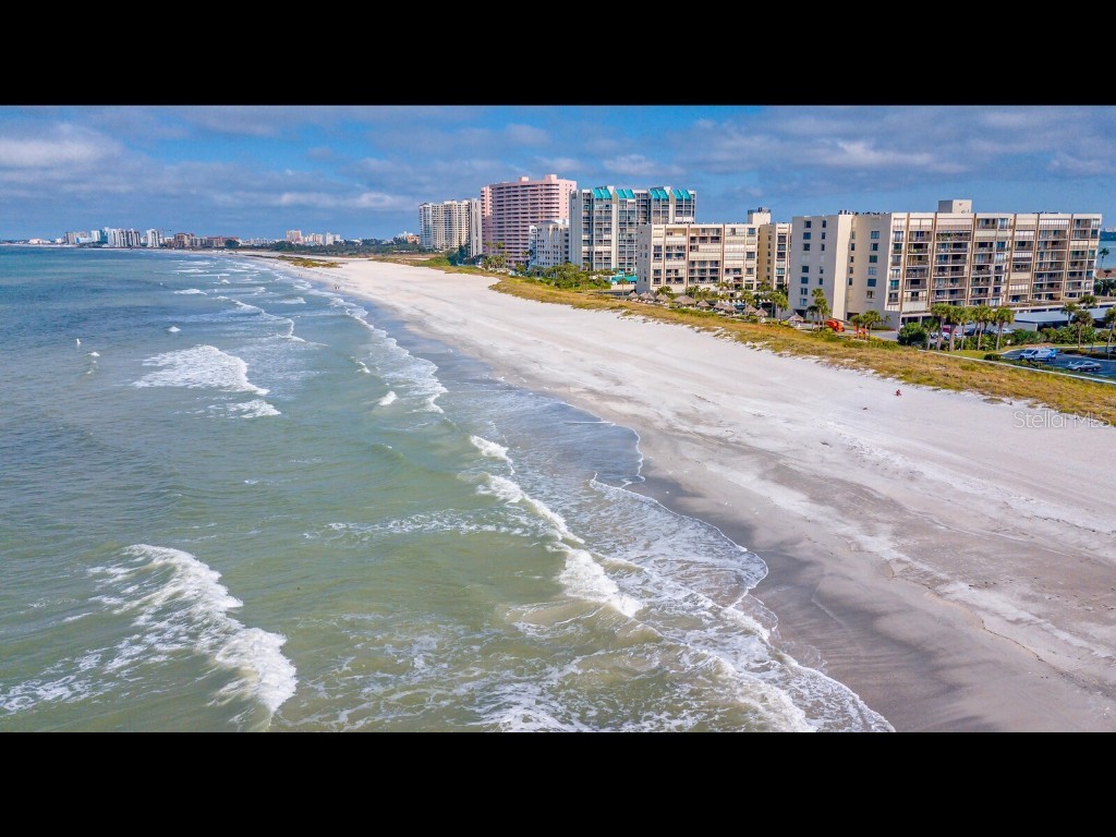1430 Gulf Boulevard #612 Clearwater Beach FL 33767 TB8325044 image39
